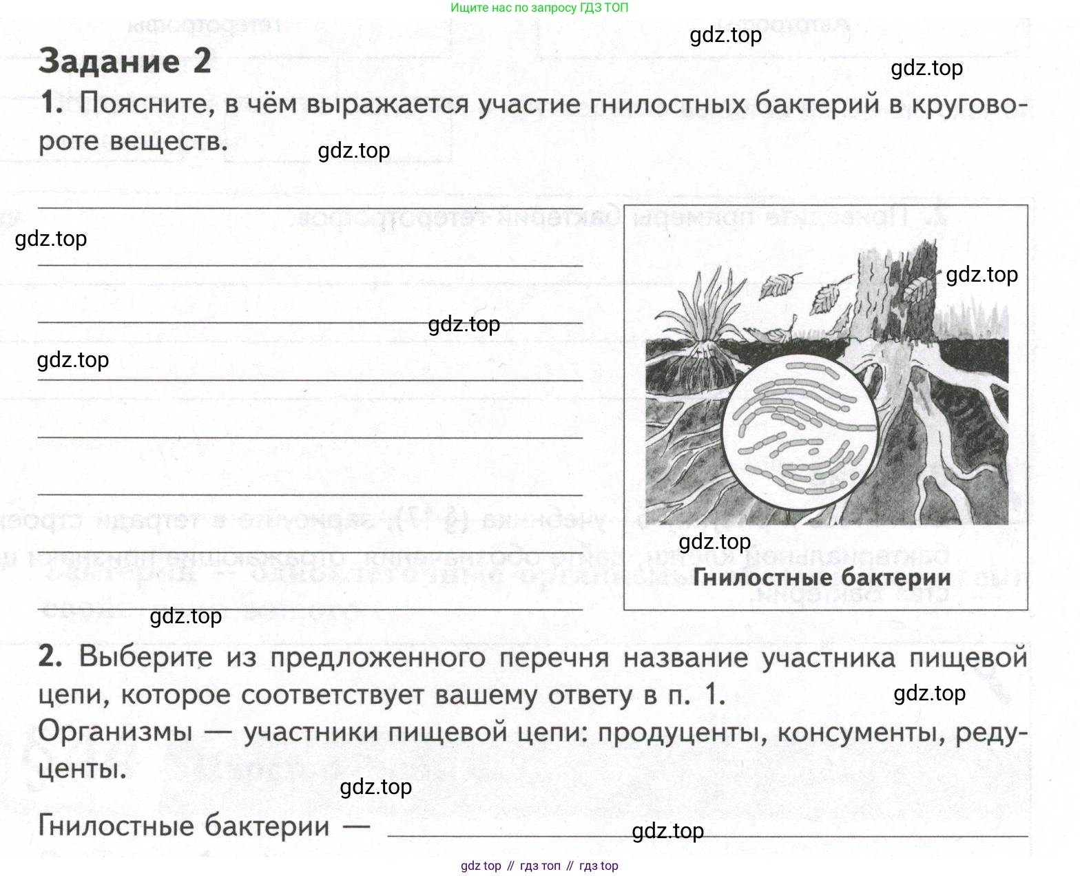 ГДЗ Биология, 9 класс рабочая тетрадь, автор: Сухова Тамара Сергеевна, издательство Просвещение, Москва, 2021, Часть 2, страница 47, номер 2, Условие