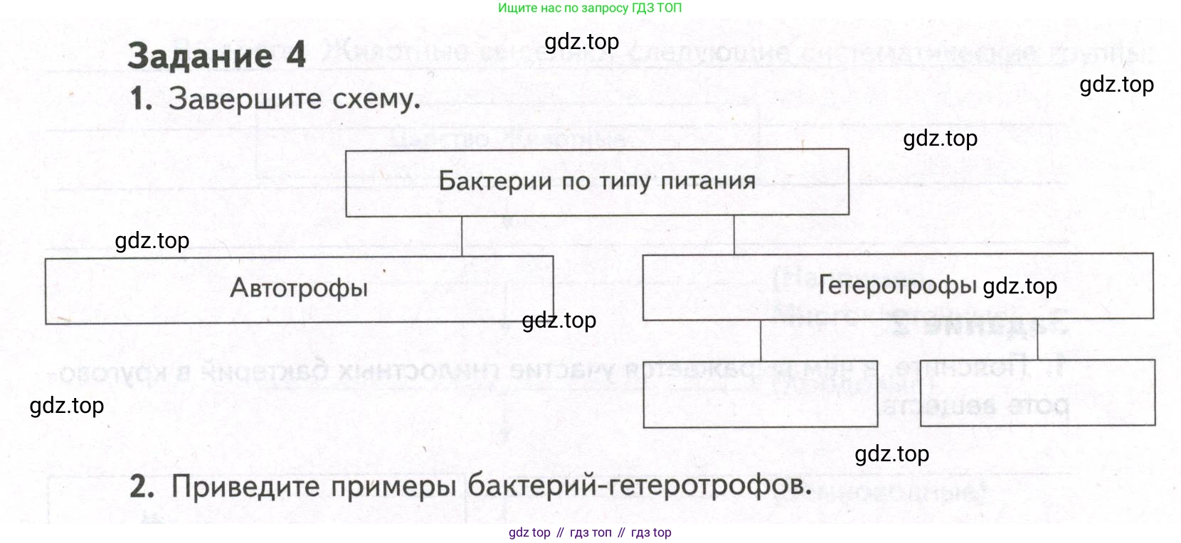 ГДЗ Биология, 9 класс рабочая тетрадь, автор: Сухова Тамара Сергеевна, издательство Просвещение, Москва, 2021, Часть 2, страница 48, номер 4, Условие
