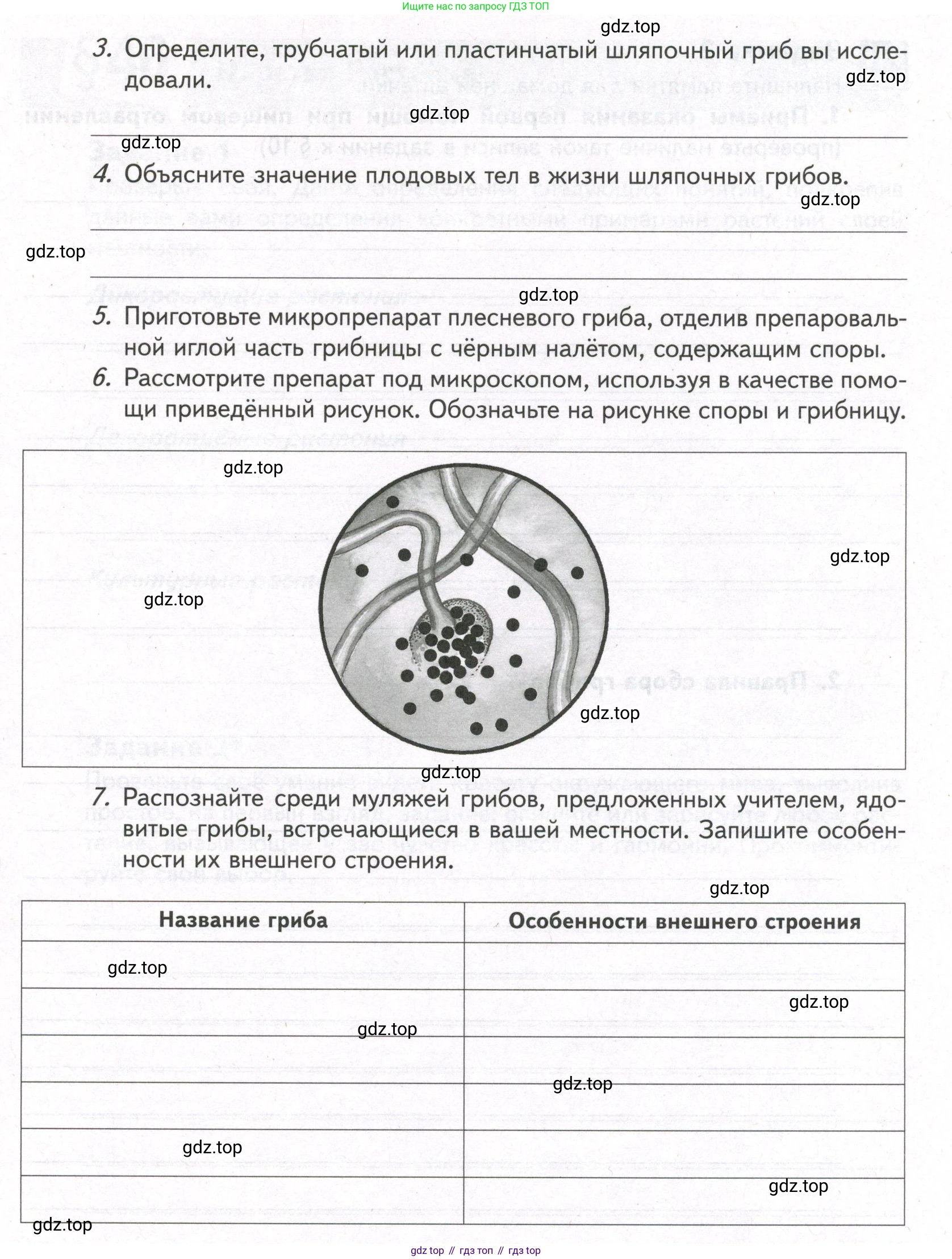 ГДЗ Биология, 9 класс рабочая тетрадь, автор: Сухова Тамара Сергеевна, издательство Просвещение, Москва, 2021, Часть 2, страница 52, номер 1, Условие (продолжение 2)