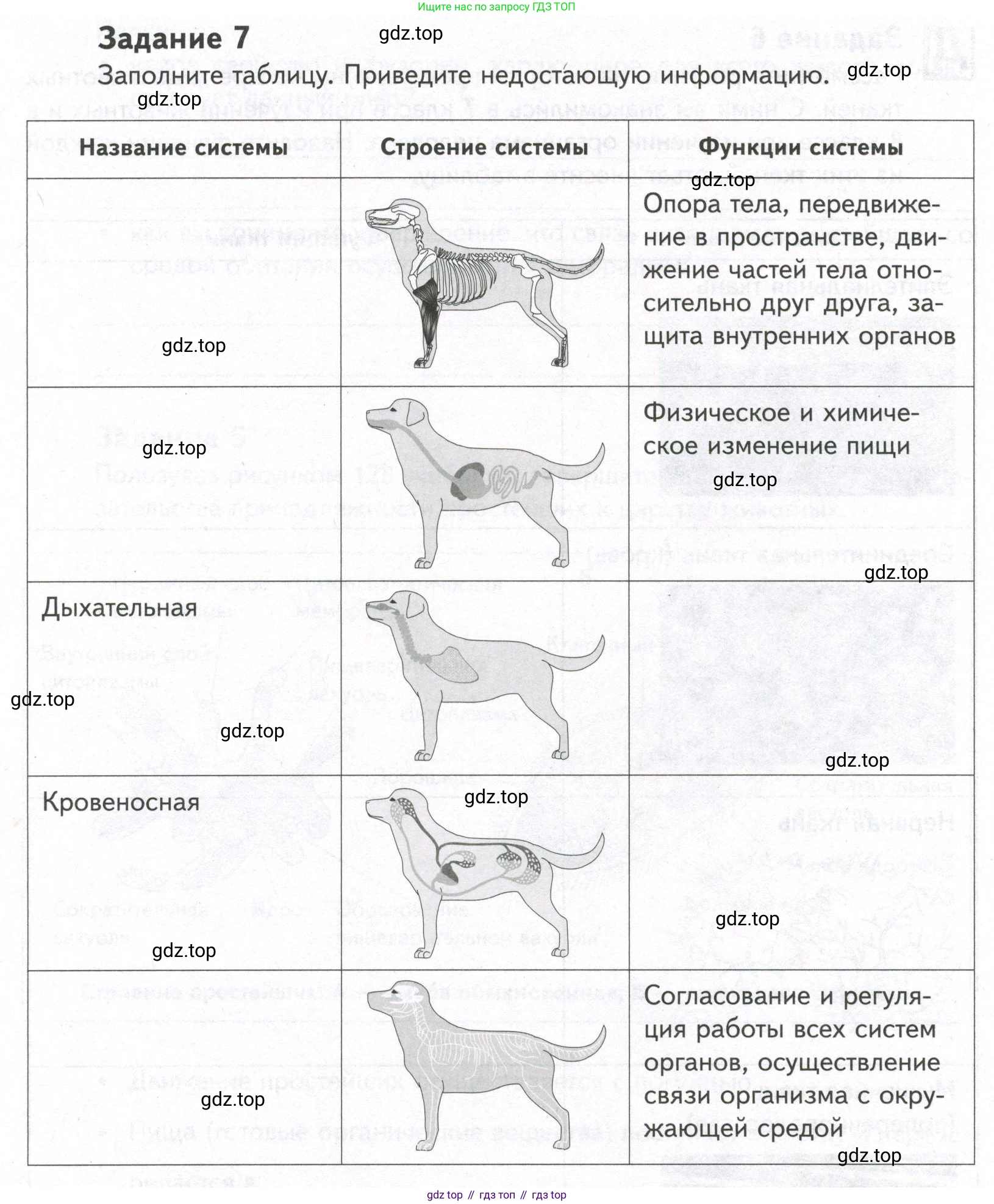 ГДЗ Биология, 9 класс рабочая тетрадь, автор: Сухова Тамара Сергеевна, издательство Просвещение, Москва, 2021, Часть 2, страница 66, номер 7, Условие