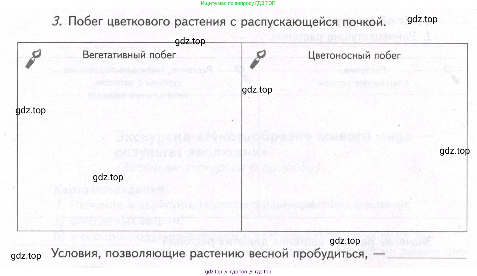 ГДЗ Биология, 9 класс рабочая тетрадь, автор: Сухова Тамара Сергеевна, издательство Просвещение, Москва, 2021, Часть 2, страница 84, номер 3, Условие