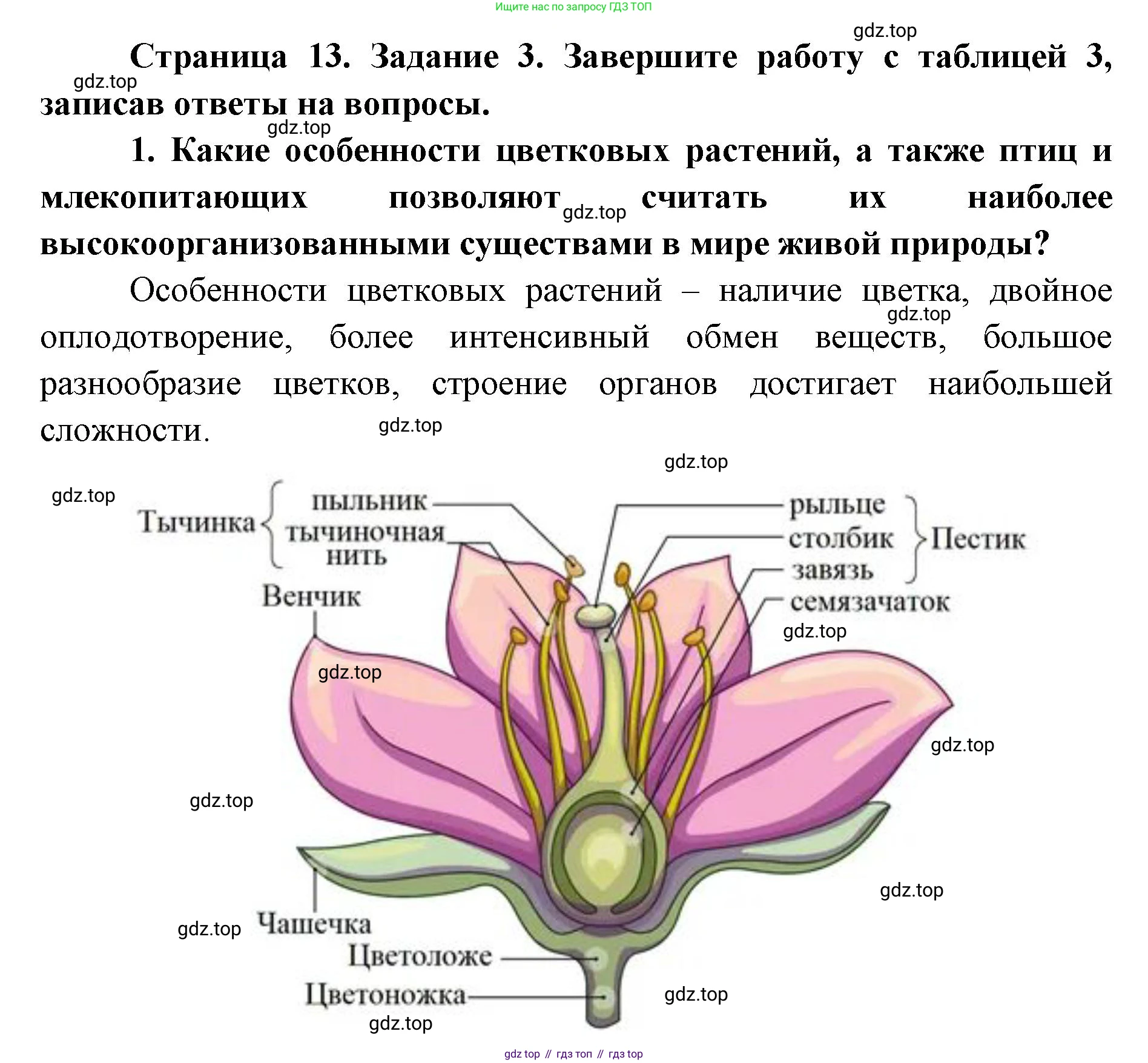 ГДЗ Биология, 9 класс рабочая тетрадь, автор: Сухова Тамара Сергеевна, издательство Просвещение, Москва, 2021, Часть 1, страница 13, номер 3, Решение
