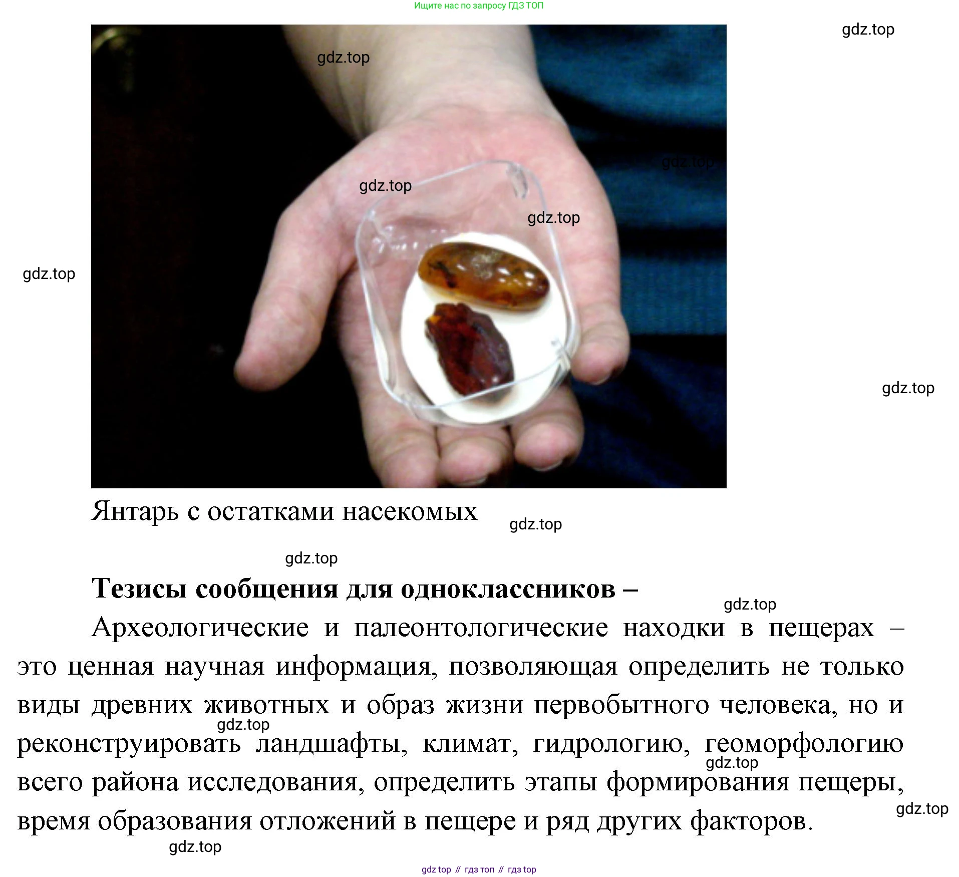 ГДЗ Биология, 9 класс рабочая тетрадь, автор: Сухова Тамара Сергеевна, издательство Просвещение, Москва, 2021, Часть 1, страница 15, номер 2, Решение (продолжение 3)
