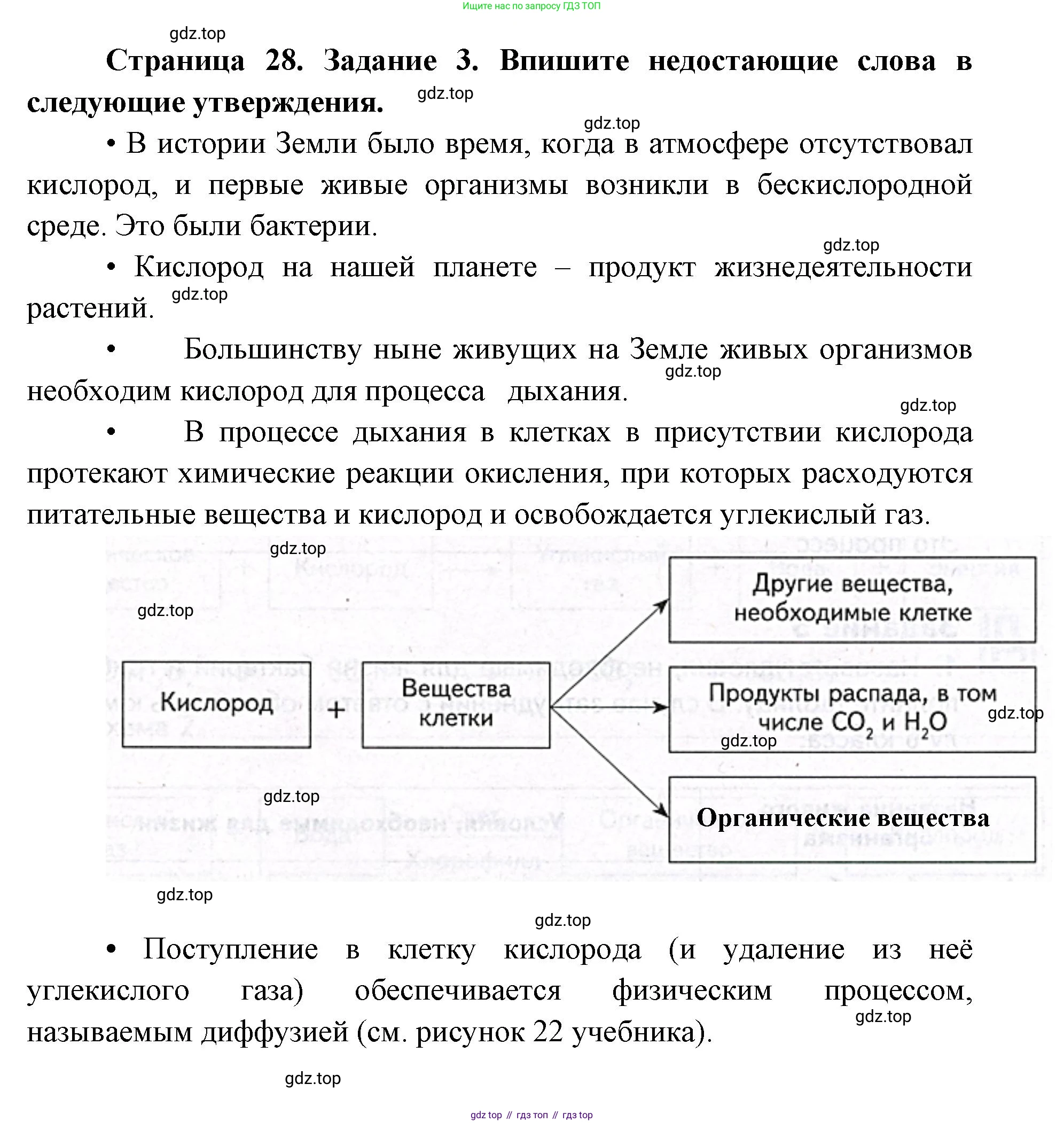 ГДЗ Биология, 9 класс рабочая тетрадь, автор: Сухова Тамара Сергеевна, издательство Просвещение, Москва, 2021, Часть 1, страница 28, номер 3, Решение