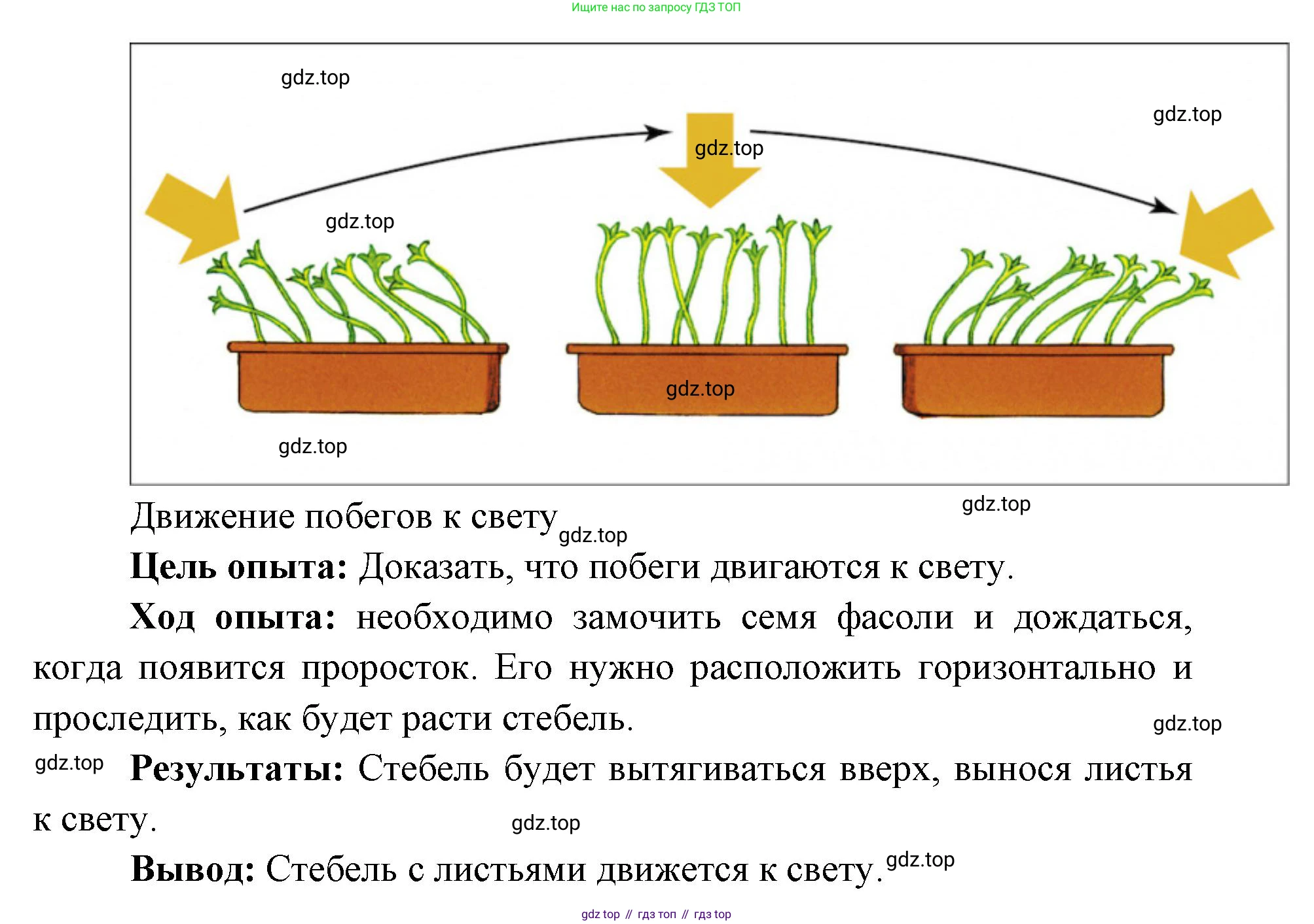 ГДЗ Биология, 9 класс рабочая тетрадь, автор: Сухова Тамара Сергеевна, издательство Просвещение, Москва, 2021, Часть 1, страница 35, номер 3, Решение (продолжение 2)