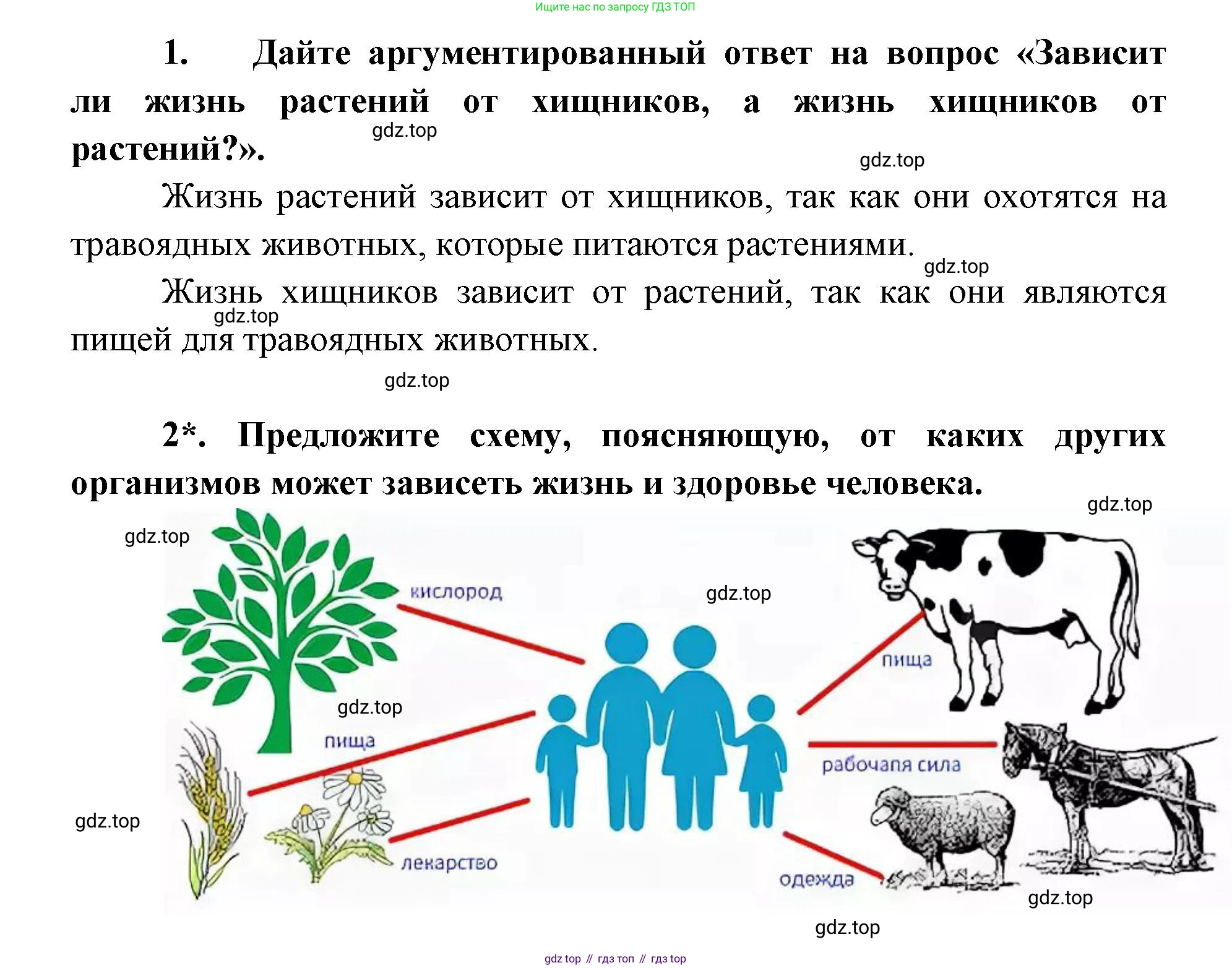 ГДЗ Биология, 9 класс рабочая тетрадь, автор: Сухова Тамара Сергеевна, издательство Просвещение, Москва, 2021, Часть 1, страница 43, номер 4, Решение (продолжение 2)