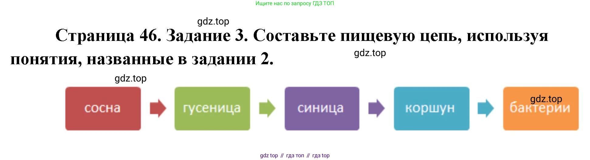 ГДЗ Биология, 9 класс рабочая тетрадь, автор: Сухова Тамара Сергеевна, издательство Просвещение, Москва, 2021, Часть 1, страница 46, номер 3, Решение