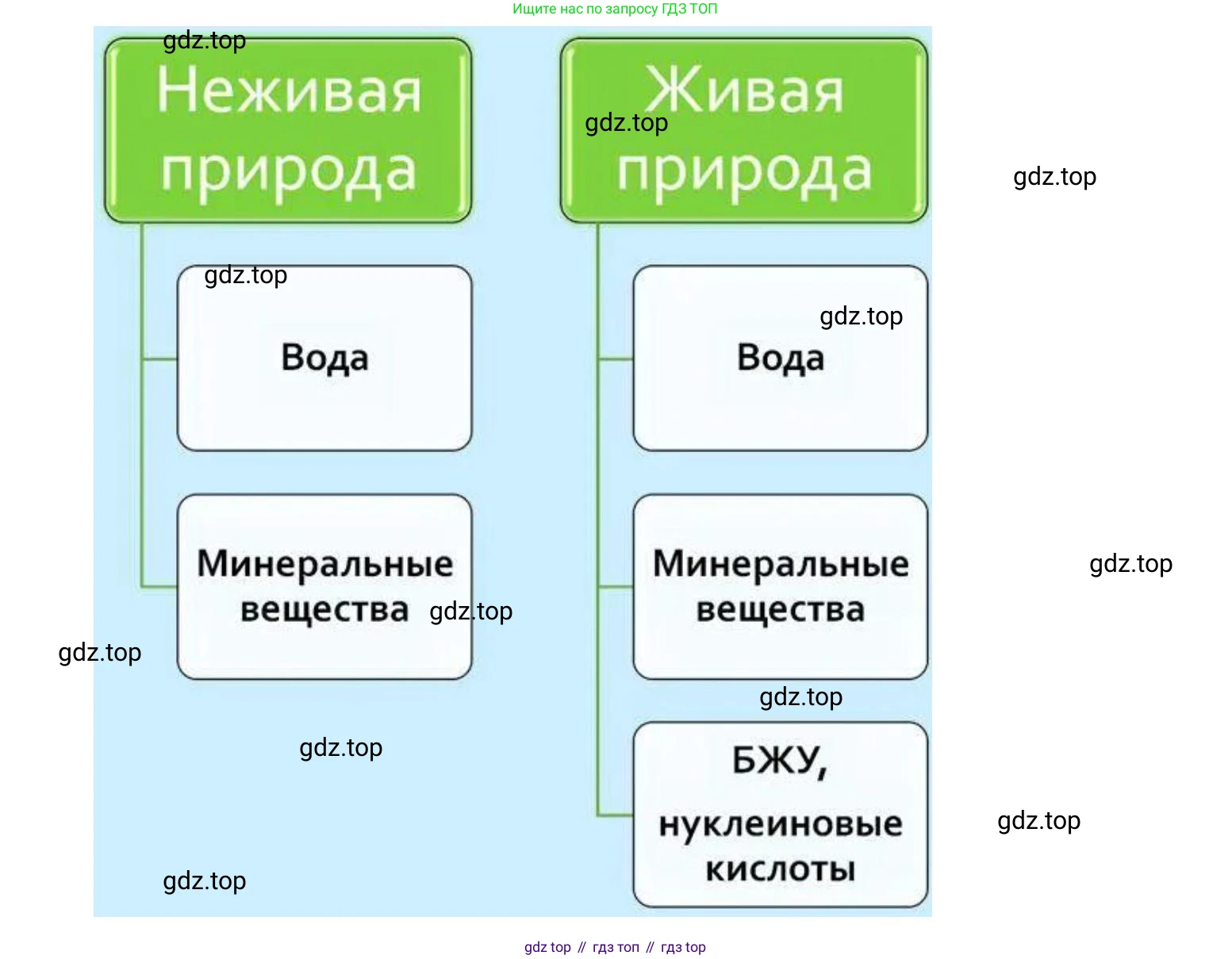 ГДЗ Биология, 9 класс рабочая тетрадь, автор: Сухова Тамара Сергеевна, издательство Просвещение, Москва, 2021, Часть 1, страница 48, номер 3, Решение (продолжение 2)