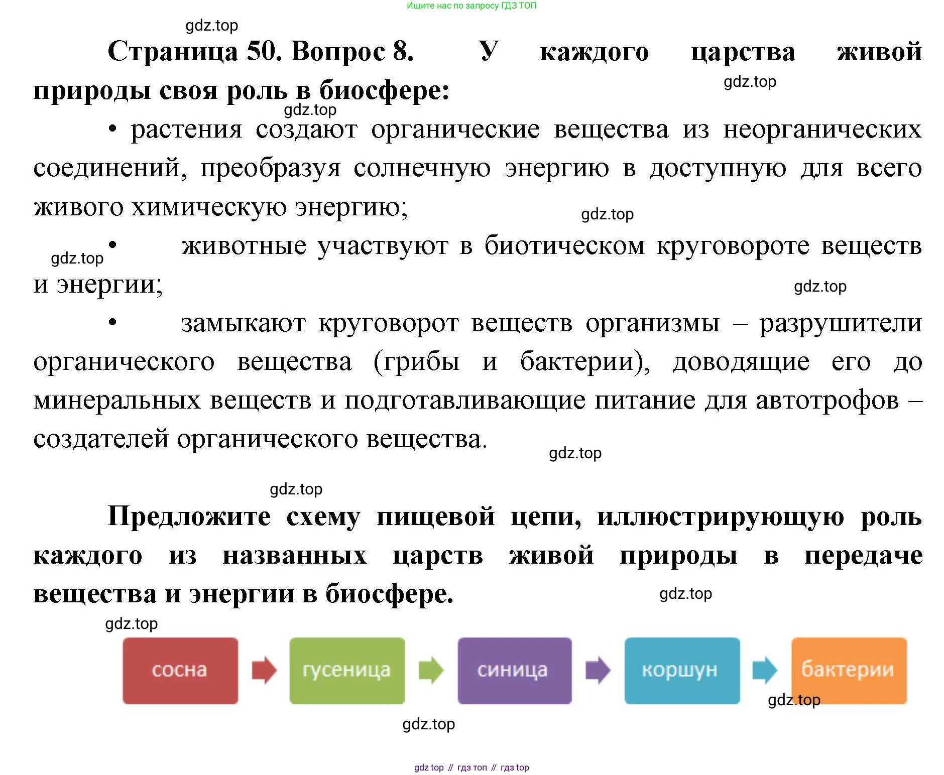 ГДЗ Биология, 9 класс рабочая тетрадь, автор: Сухова Тамара Сергеевна, издательство Просвещение, Москва, 2021, Часть 1, страница 51, номер 8, Решение