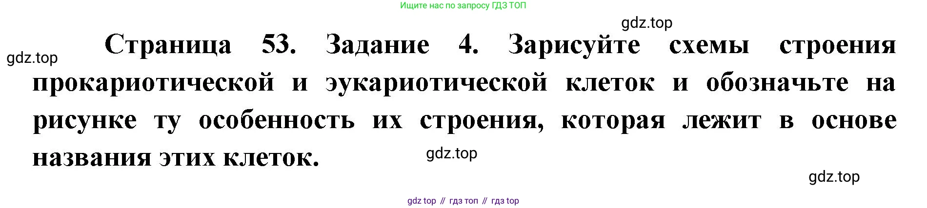 ГДЗ Биология, 9 класс рабочая тетрадь, автор: Сухова Тамара Сергеевна, издательство Просвещение, Москва, 2021, Часть 1, страница 53, номер 4, Решение