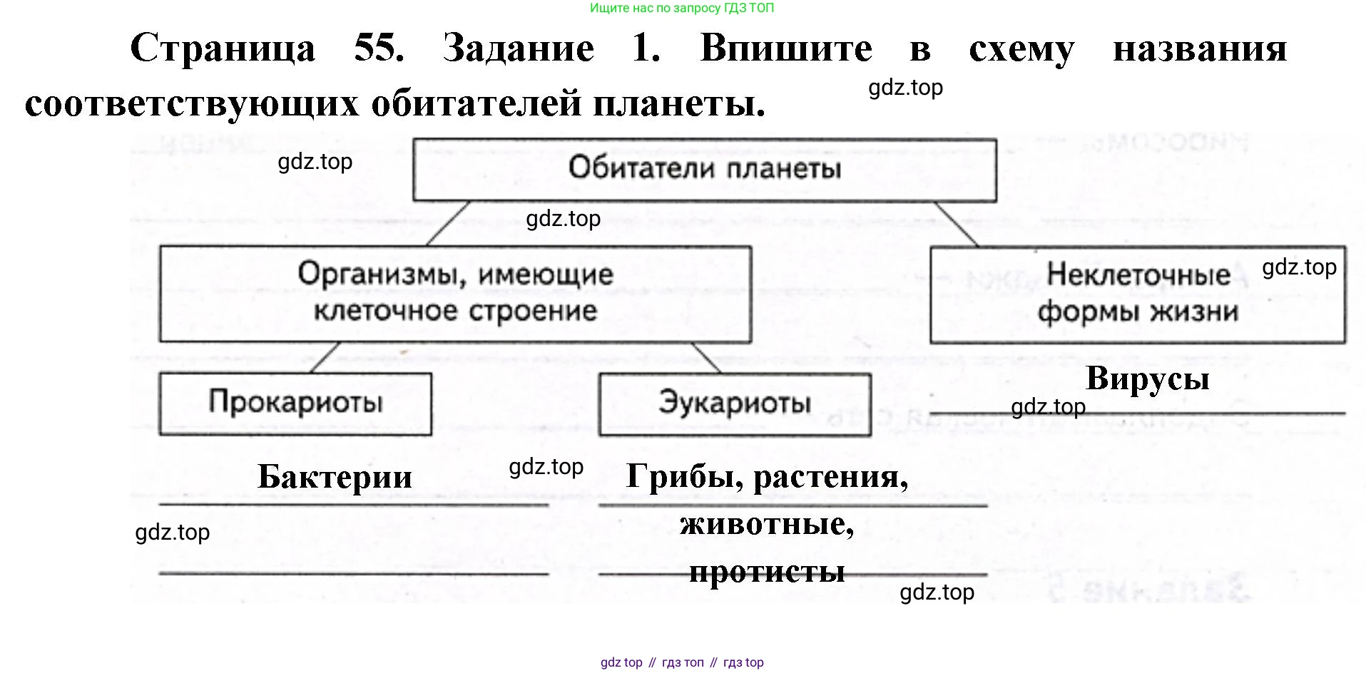 ГДЗ Биология, 9 класс рабочая тетрадь, автор: Сухова Тамара Сергеевна, издательство Просвещение, Москва, 2021, Часть 1, страница 55, номер 1, Решение