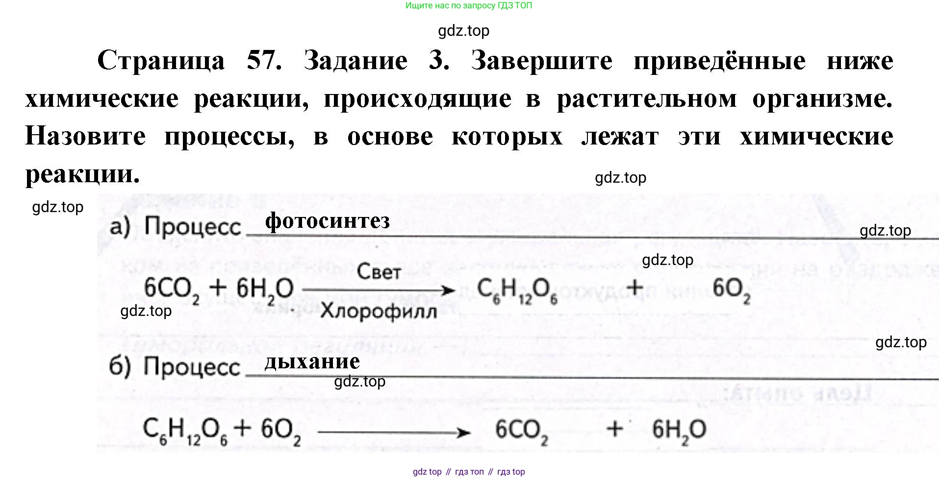 ГДЗ Биология, 9 класс рабочая тетрадь, автор: Сухова Тамара Сергеевна, издательство Просвещение, Москва, 2021, Часть 1, страница 57, номер 3, Решение
