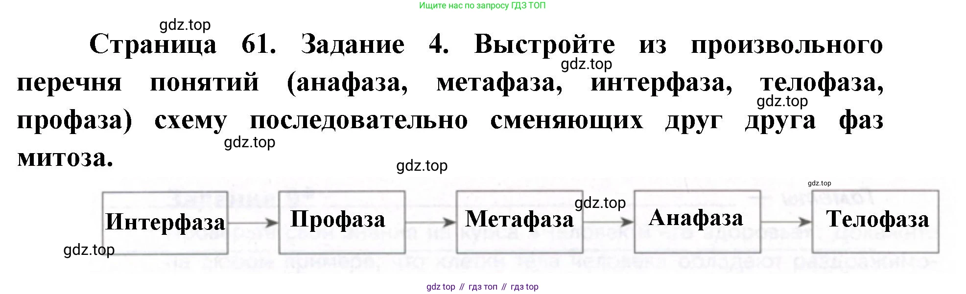 ГДЗ Биология, 9 класс рабочая тетрадь, автор: Сухова Тамара Сергеевна, издательство Просвещение, Москва, 2021, Часть 1, страница 61, номер 4, Решение