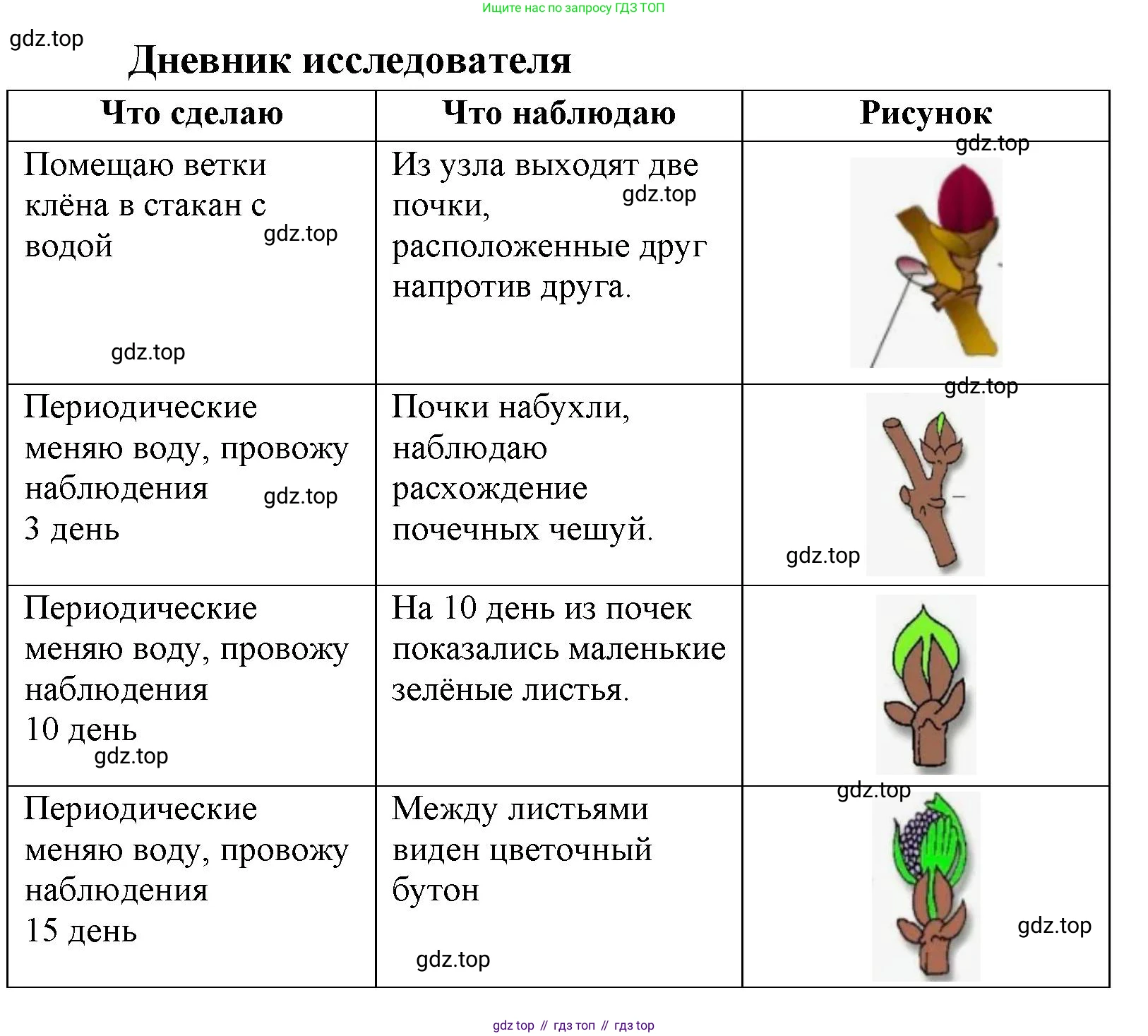 ГДЗ Биология, 9 класс рабочая тетрадь, автор: Сухова Тамара Сергеевна, издательство Просвещение, Москва, 2021, Часть 1, страница 62, номер 5, Решение (продолжение 2)