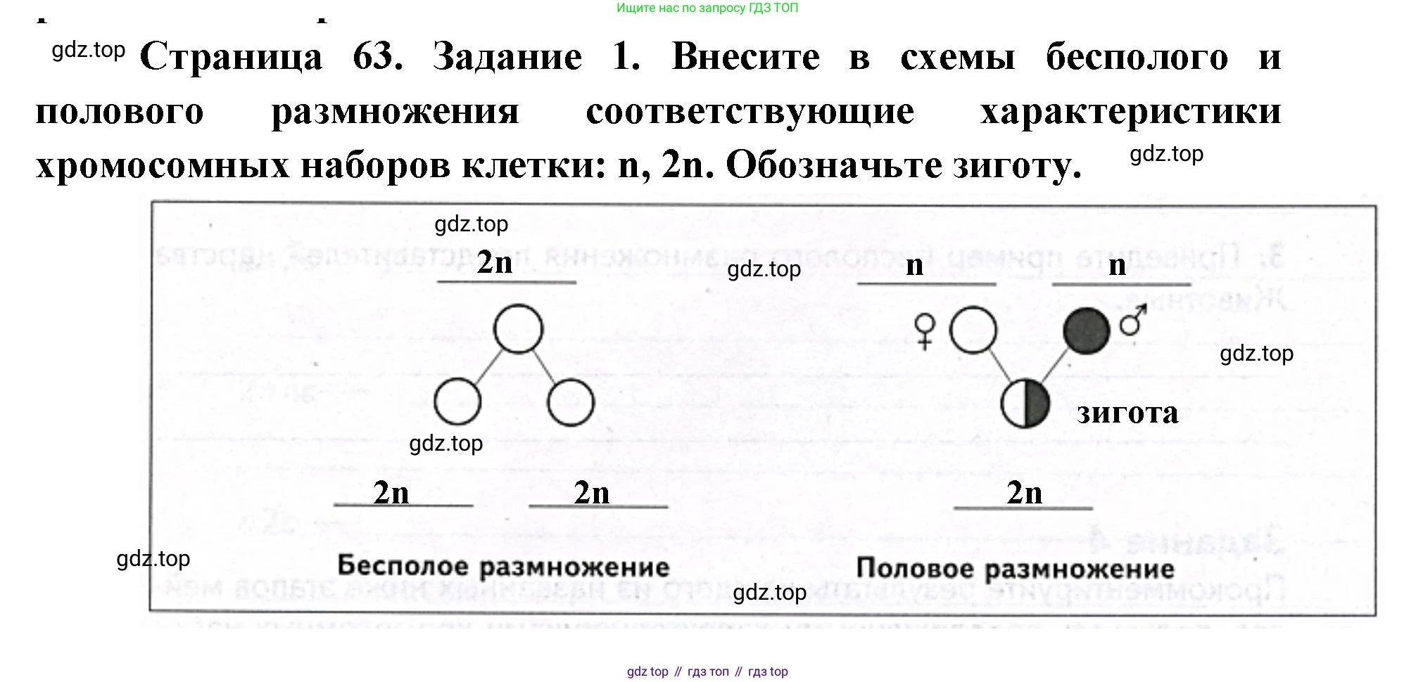 ГДЗ Биология, 9 класс рабочая тетрадь, автор: Сухова Тамара Сергеевна, издательство Просвещение, Москва, 2021, Часть 1, страница 63, номер 1, Решение