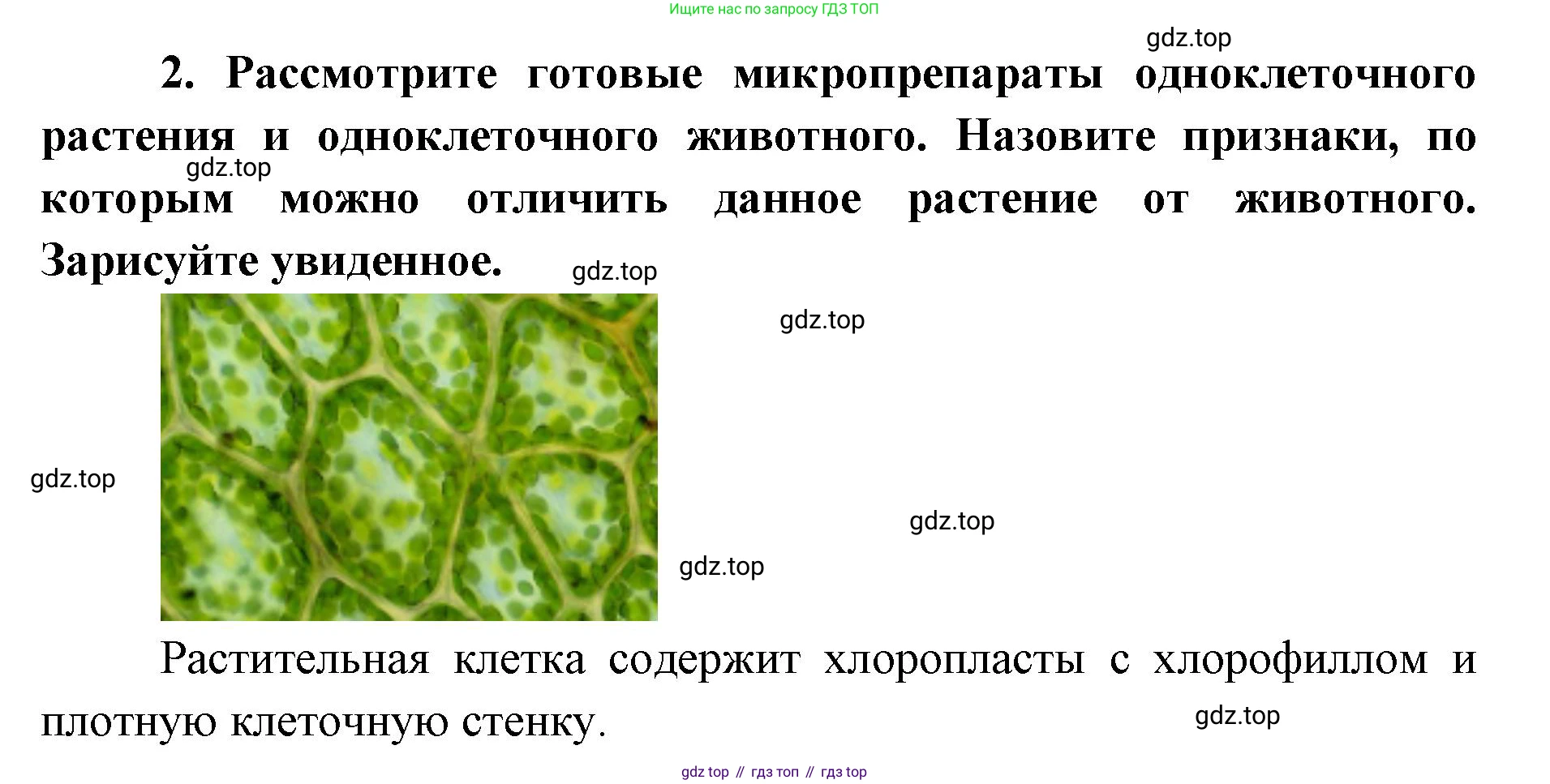 ГДЗ Биология, 9 класс рабочая тетрадь, автор: Сухова Тамара Сергеевна, издательство Просвещение, Москва, 2021, Часть 1, страница 68, номер 2, Решение