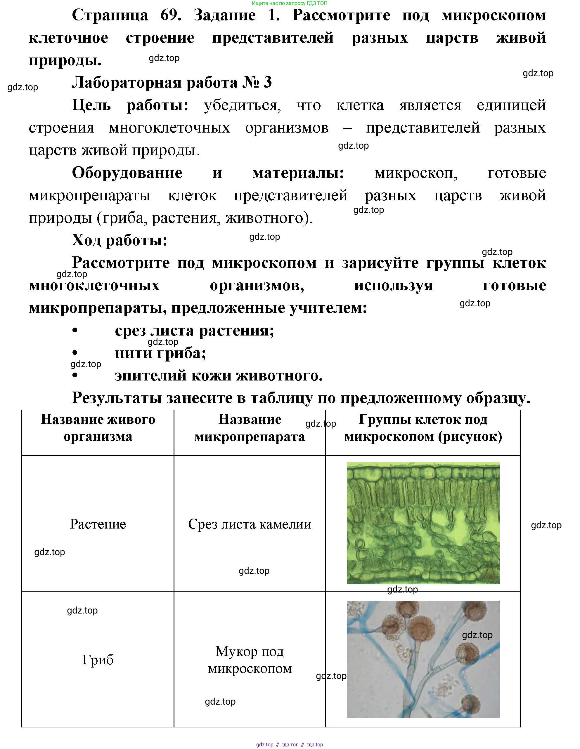 ГДЗ Биология, 9 класс рабочая тетрадь, автор: Сухова Тамара Сергеевна, издательство Просвещение, Москва, 2021, Часть 1, страница 69, номер 1, Решение