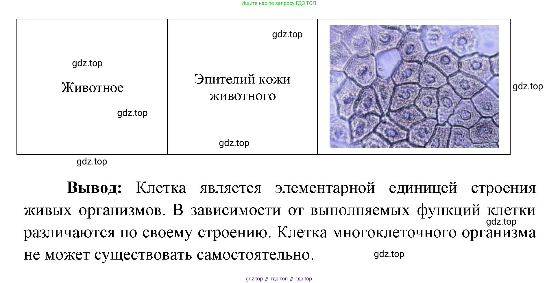 ГДЗ Биология, 9 класс рабочая тетрадь, автор: Сухова Тамара Сергеевна, издательство Просвещение, Москва, 2021, Часть 1, страница 69, номер 1, Решение (продолжение 2)