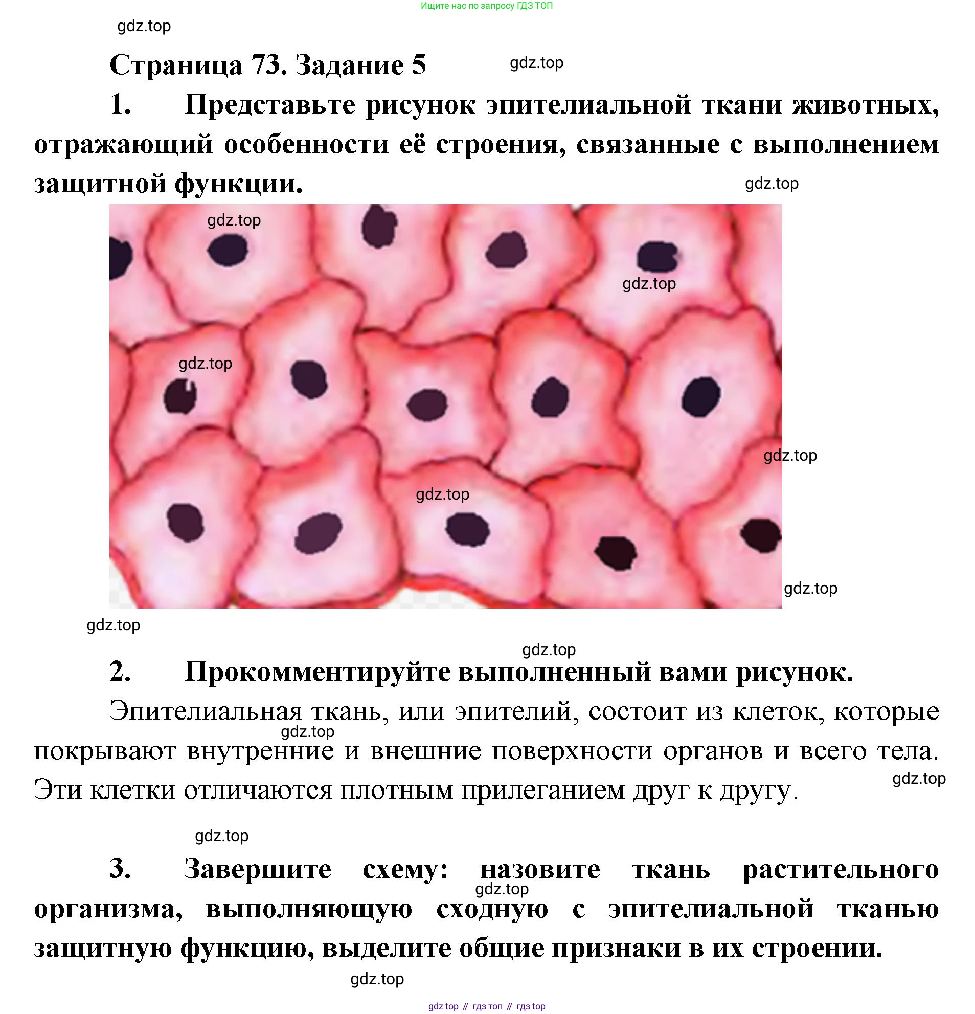 ГДЗ Биология, 9 класс рабочая тетрадь, автор: Сухова Тамара Сергеевна, издательство Просвещение, Москва, 2021, Часть 1, страница 73, номер 5, Решение