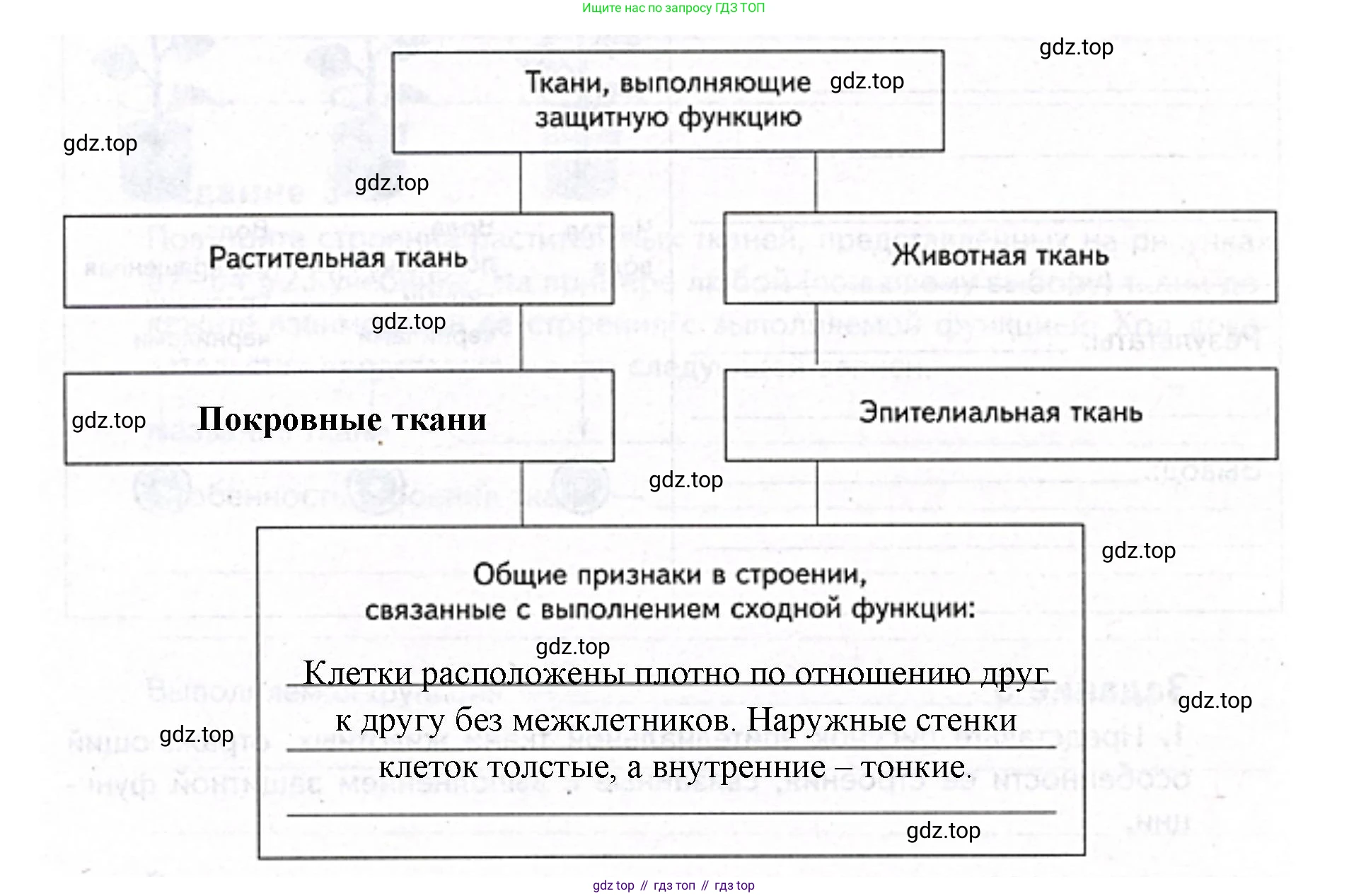 ГДЗ Биология, 9 класс рабочая тетрадь, автор: Сухова Тамара Сергеевна, издательство Просвещение, Москва, 2021, Часть 1, страница 73, номер 5, Решение (продолжение 2)