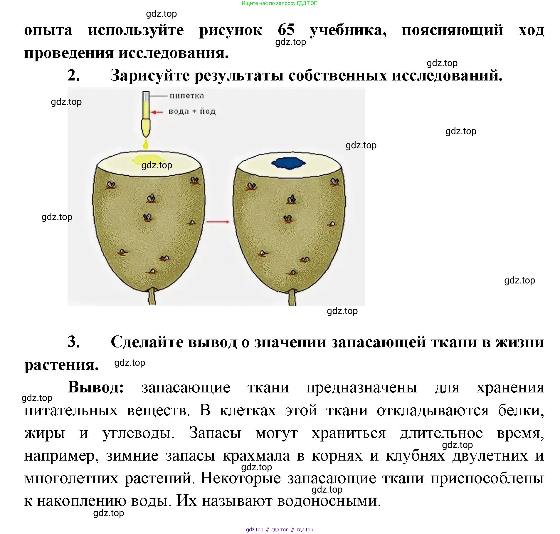 ГДЗ Биология, 9 класс рабочая тетрадь, автор: Сухова Тамара Сергеевна, издательство Просвещение, Москва, 2021, Часть 1, страница 75, номер 7, Решение (продолжение 2)