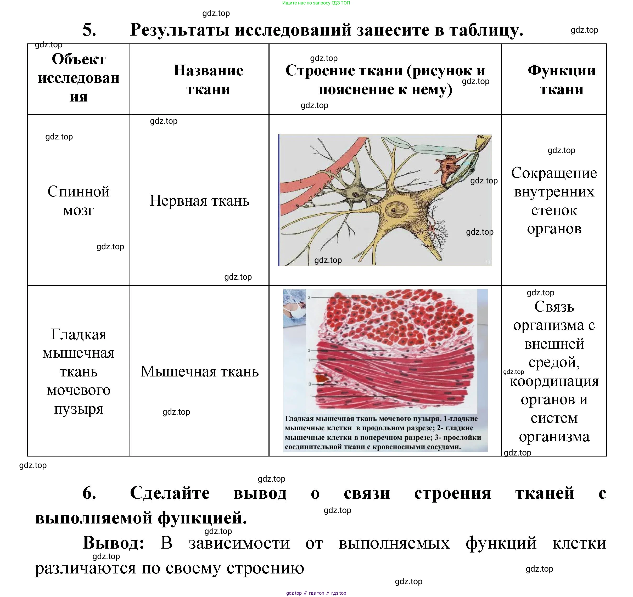 ГДЗ Биология, 9 класс рабочая тетрадь, автор: Сухова Тамара Сергеевна, издательство Просвещение, Москва, 2021, Часть 1, страница 76, номер 1, Решение (продолжение 2)