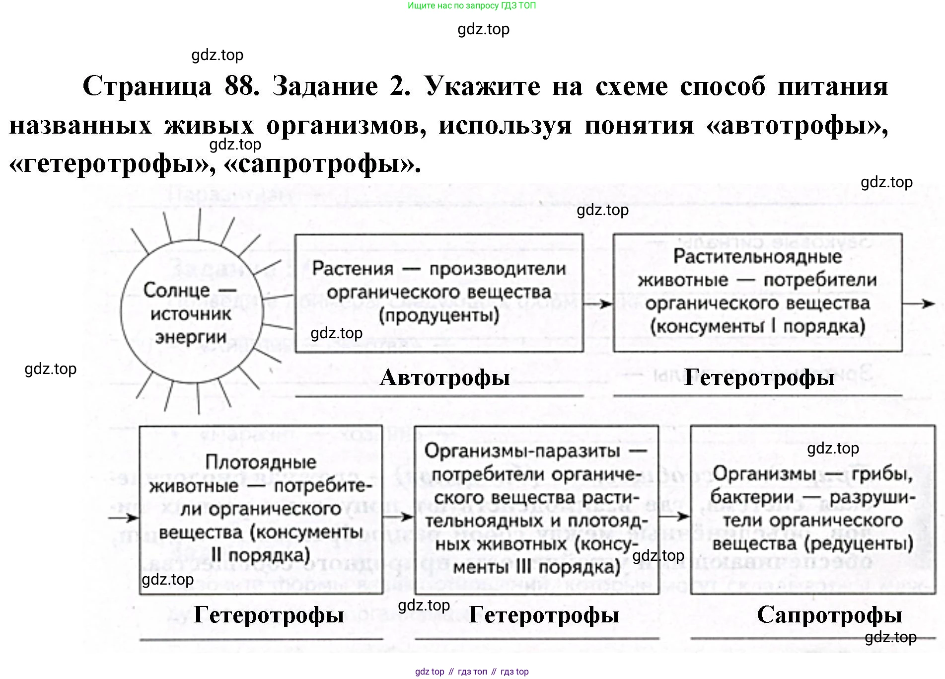 ГДЗ Биология, 9 класс рабочая тетрадь, автор: Сухова Тамара Сергеевна, издательство Просвещение, Москва, 2021, Часть 1, страница 88, номер 2, Решение