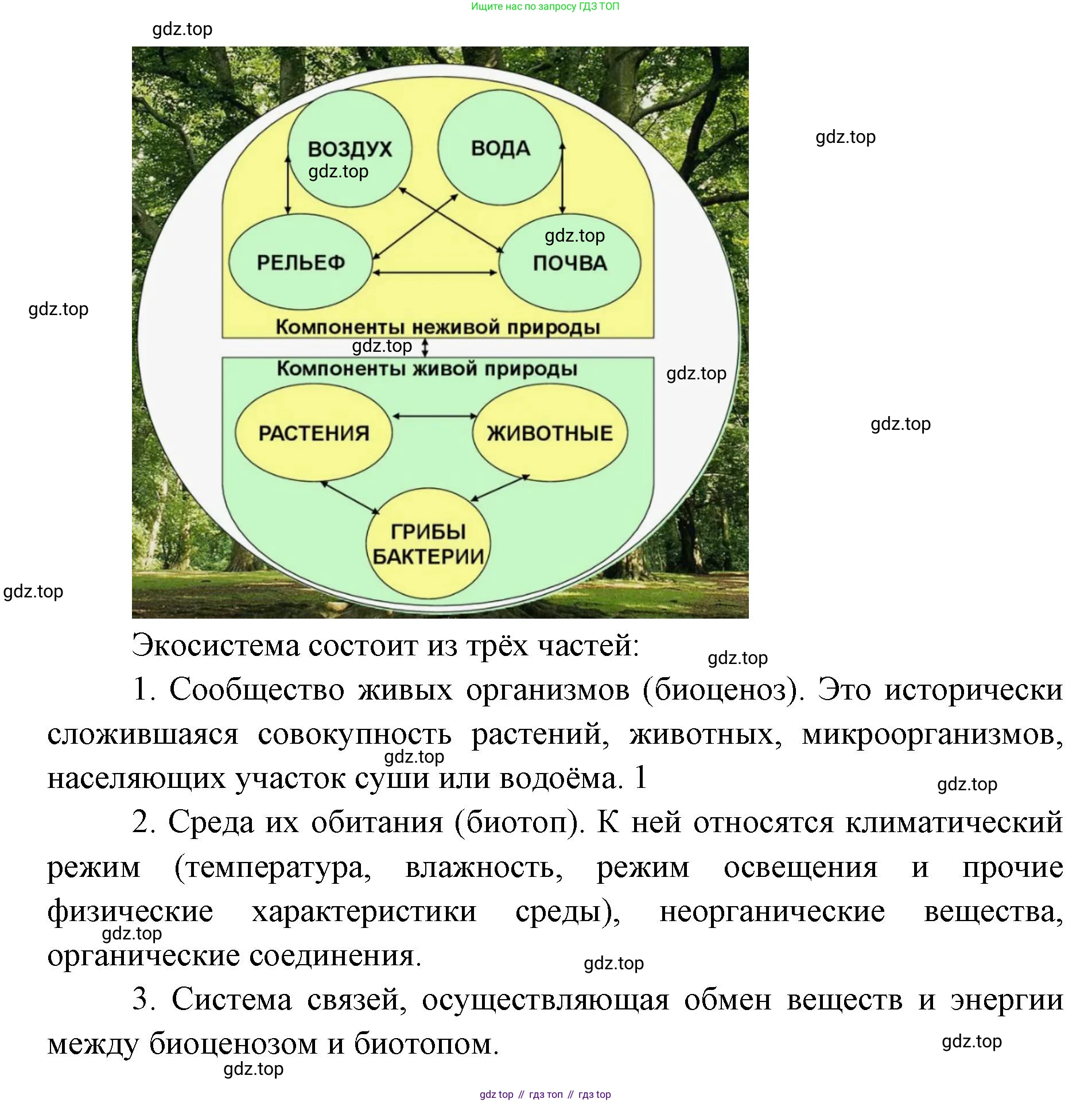 ГДЗ Биология, 9 класс рабочая тетрадь, автор: Сухова Тамара Сергеевна, издательство Просвещение, Москва, 2021, Часть 1, страница 88, номер 3, Решение (продолжение 2)