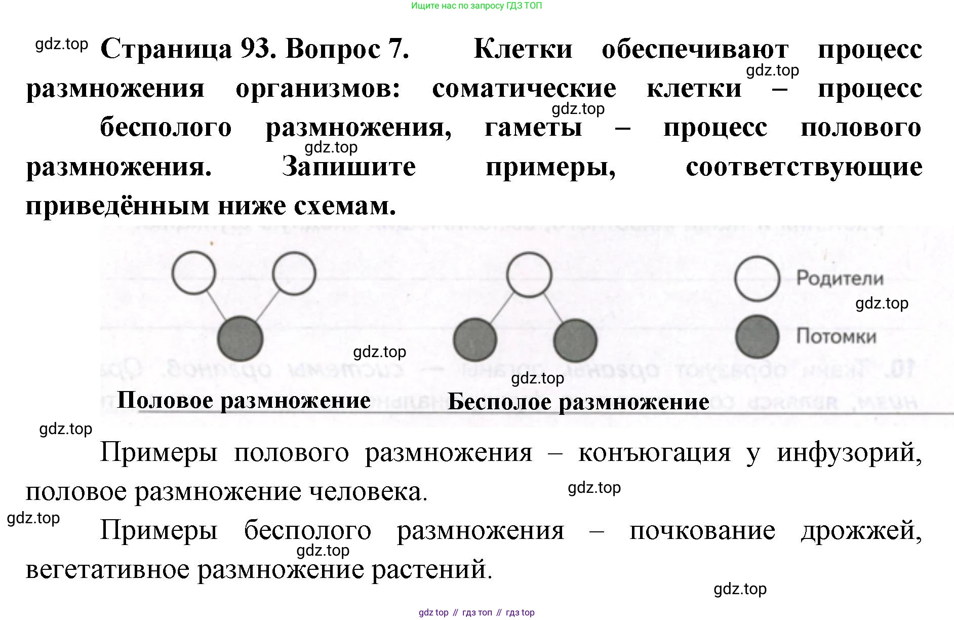 ГДЗ Биология, 9 класс рабочая тетрадь, автор: Сухова Тамара Сергеевна, издательство Просвещение, Москва, 2021, Часть 1, страница 93, номер 7, Решение