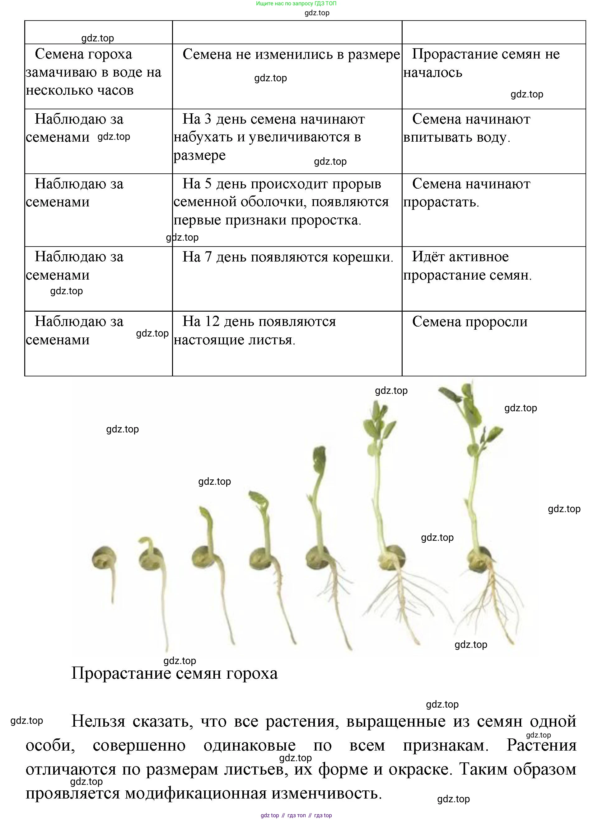 ГДЗ Биология, 9 класс рабочая тетрадь, автор: Сухова Тамара Сергеевна, издательство Просвещение, Москва, 2021, Часть 2, страница 16, номер 3, Решение (продолжение 2)