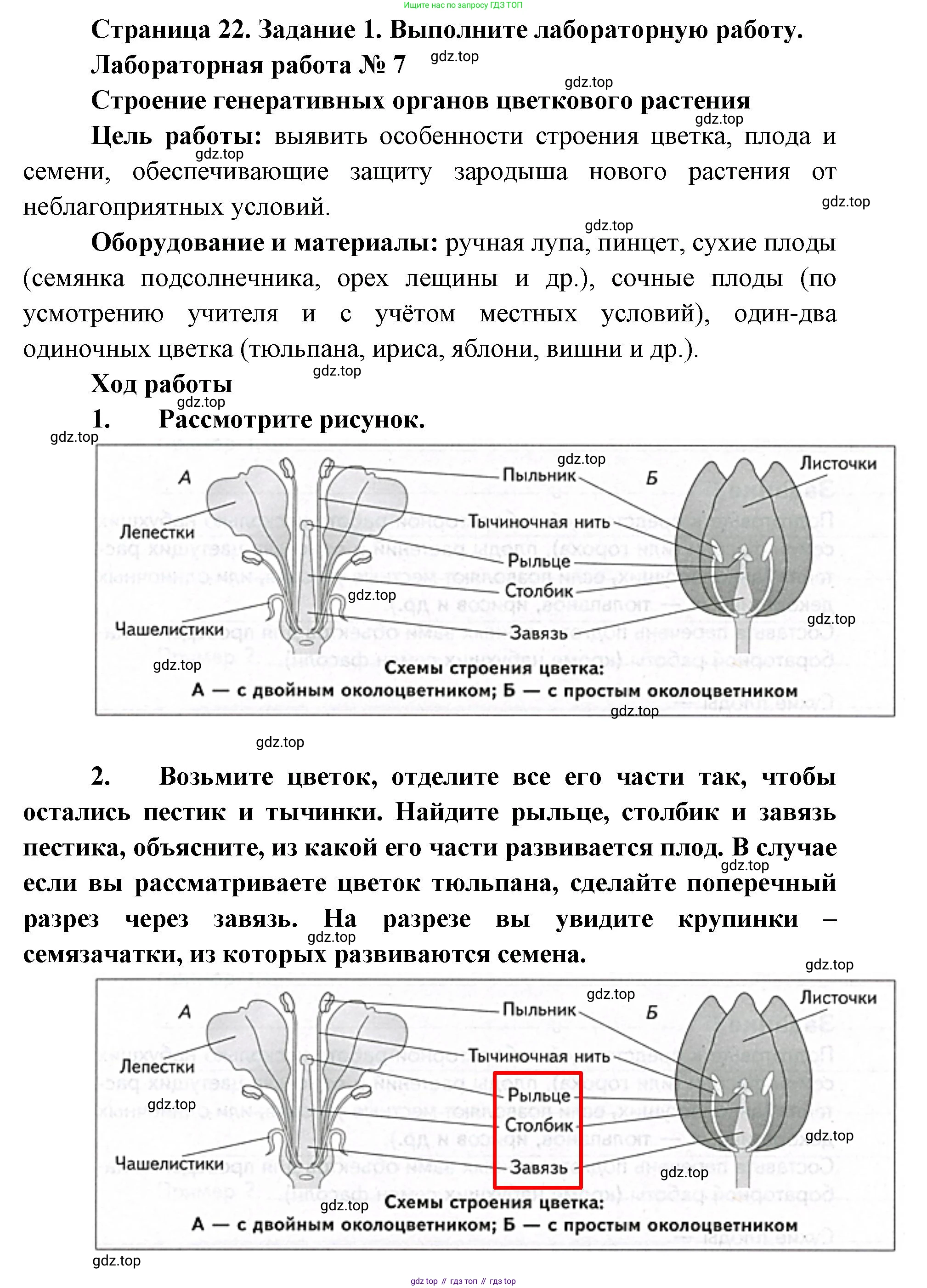 ГДЗ Биология, 9 класс рабочая тетрадь, автор: Сухова Тамара Сергеевна, издательство Просвещение, Москва, 2021, Часть 2, страница 22, номер 1, Решение