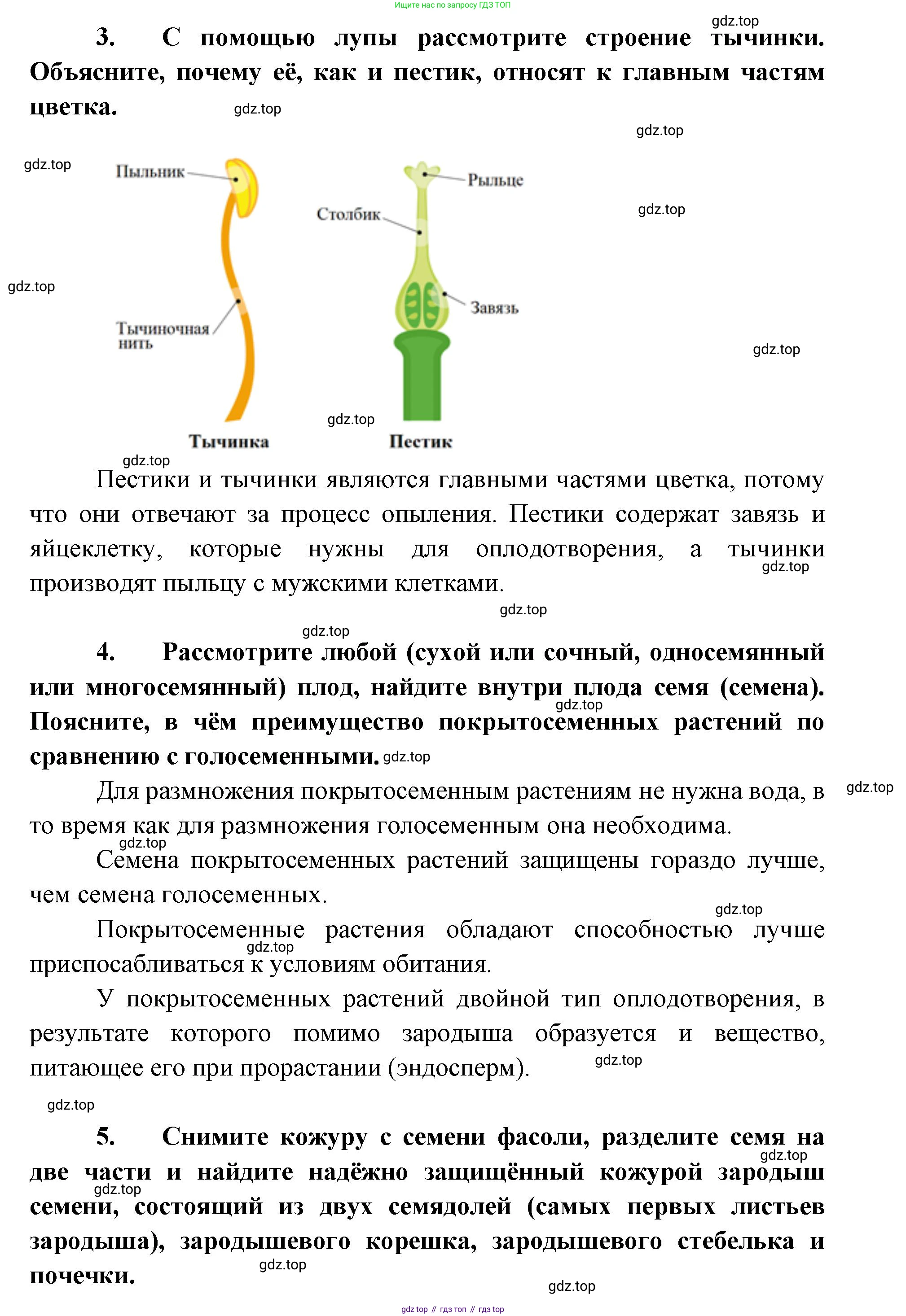 ГДЗ Биология, 9 класс рабочая тетрадь, автор: Сухова Тамара Сергеевна, издательство Просвещение, Москва, 2021, Часть 2, страница 22, номер 1, Решение (продолжение 2)