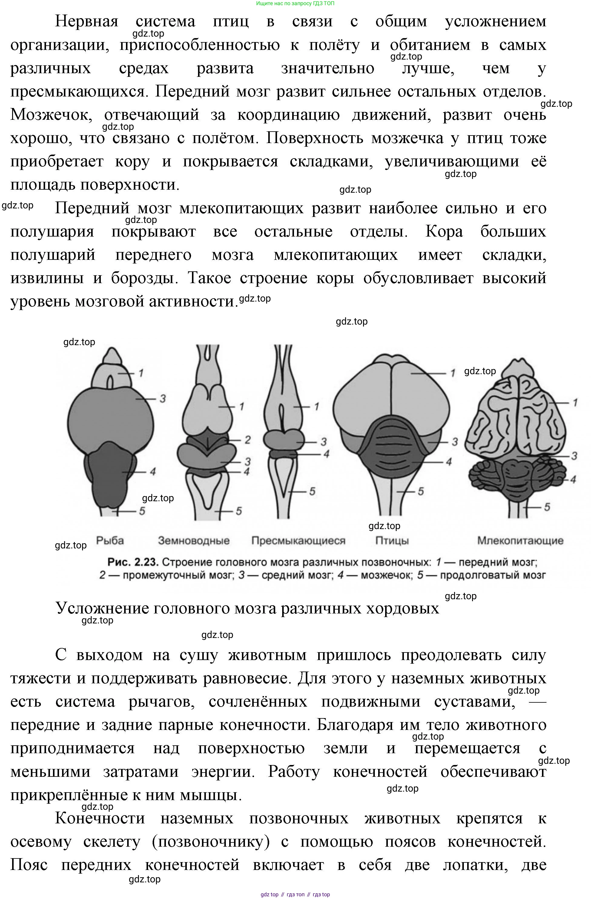 ГДЗ Биология, 9 класс рабочая тетрадь, автор: Сухова Тамара Сергеевна, издательство Просвещение, Москва, 2021, Часть 2, страница 27, номер 5, Решение (продолжение 2)