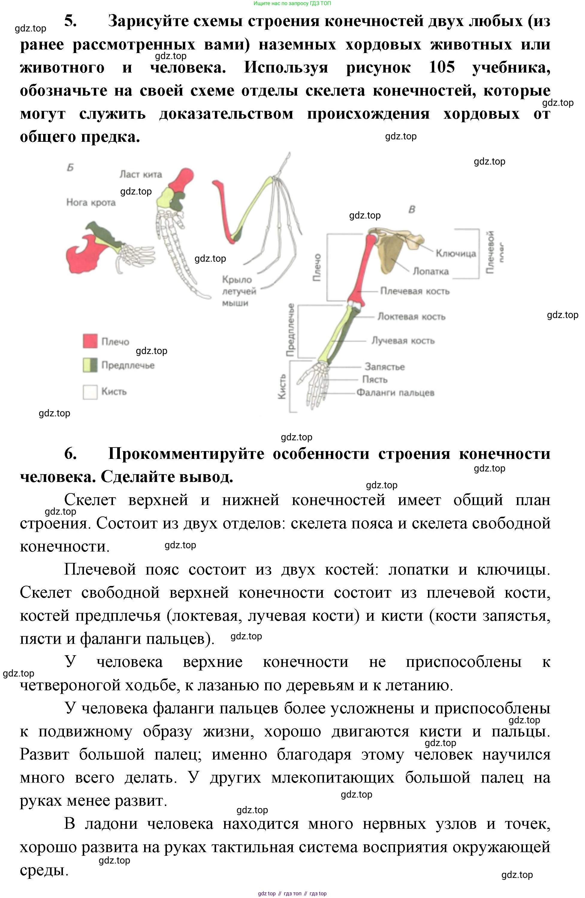 ГДЗ Биология, 9 класс рабочая тетрадь, автор: Сухова Тамара Сергеевна, издательство Просвещение, Москва, 2021, Часть 2, страница 28, номер 1, Решение (продолжение 3)