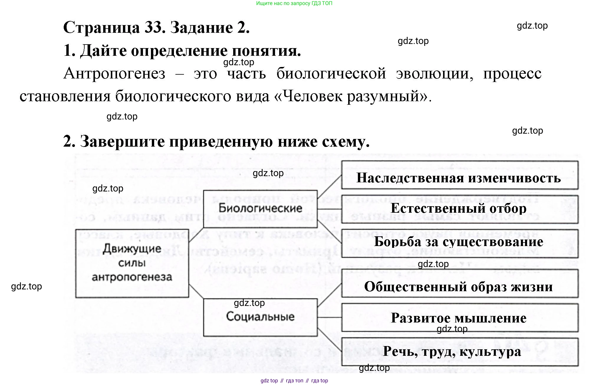 ГДЗ Биология, 9 класс рабочая тетрадь, автор: Сухова Тамара Сергеевна, издательство Просвещение, Москва, 2021, Часть 2, страница 33, номер 2, Решение