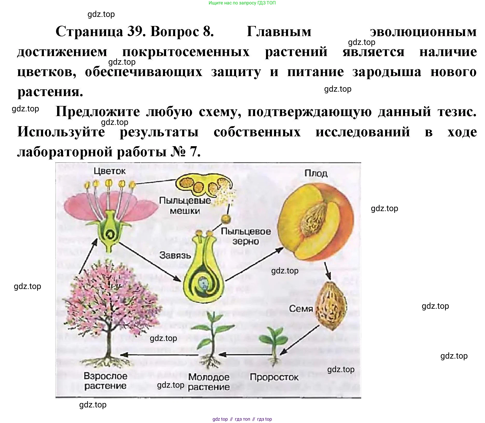 ГДЗ Биология, 9 класс рабочая тетрадь, автор: Сухова Тамара Сергеевна, издательство Просвещение, Москва, 2021, Часть 2, страница 39, номер 8, Решение