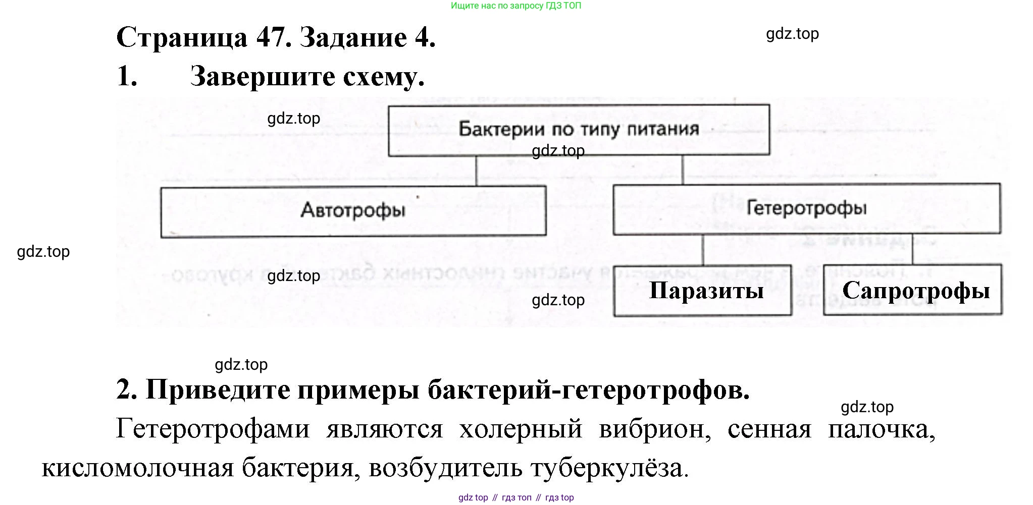 ГДЗ Биология, 9 класс рабочая тетрадь, автор: Сухова Тамара Сергеевна, издательство Просвещение, Москва, 2021, Часть 2, страница 48, номер 4, Решение
