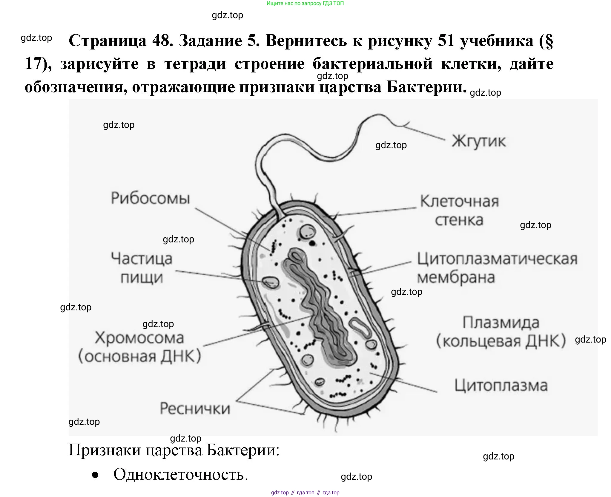 ГДЗ Биология, 9 класс рабочая тетрадь, автор: Сухова Тамара Сергеевна, издательство Просвещение, Москва, 2021, Часть 2, страница 48, номер 5, Решение