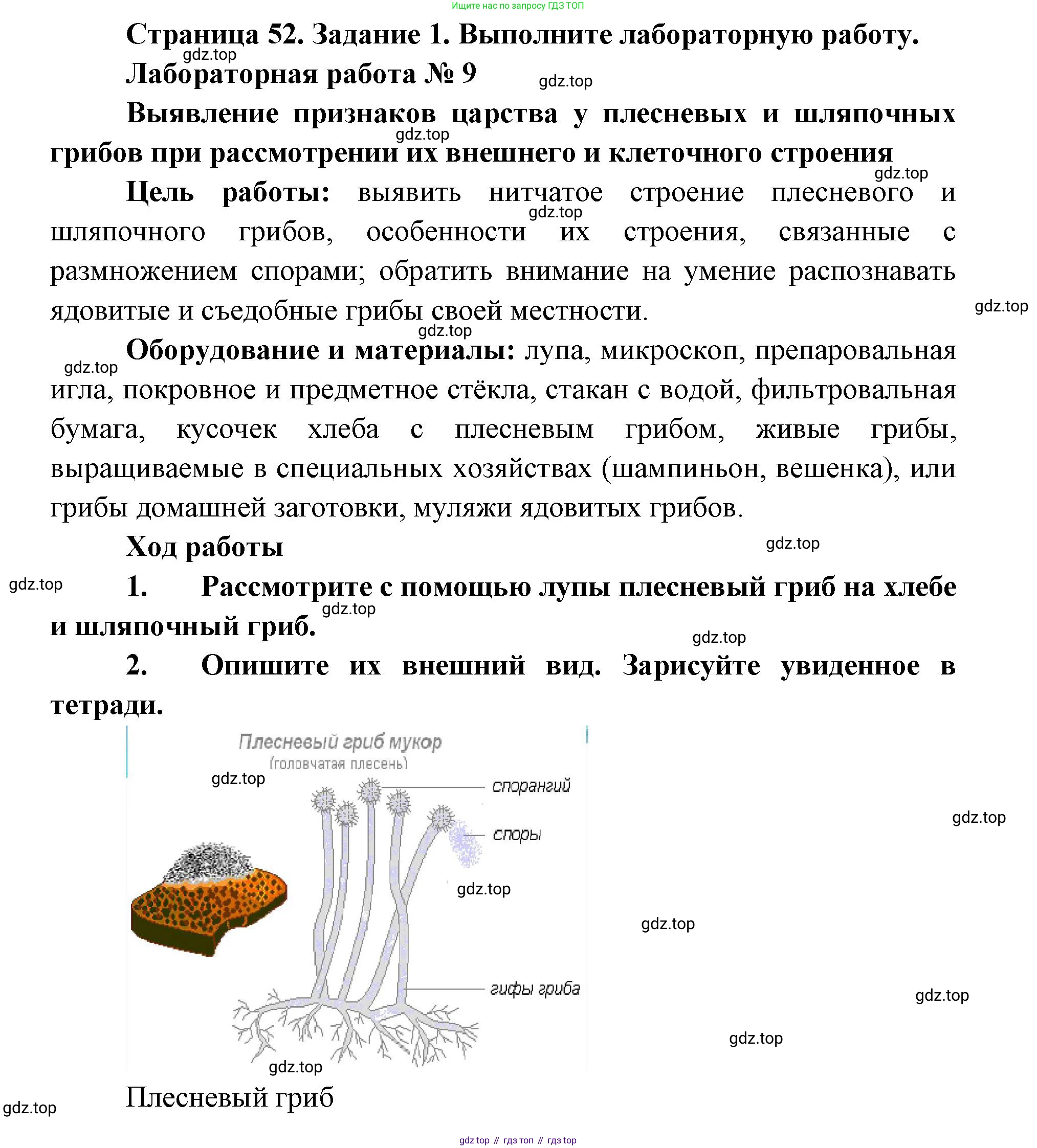 ГДЗ Биология, 9 класс рабочая тетрадь, автор: Сухова Тамара Сергеевна, издательство Просвещение, Москва, 2021, Часть 2, страница 52, номер 1, Решение