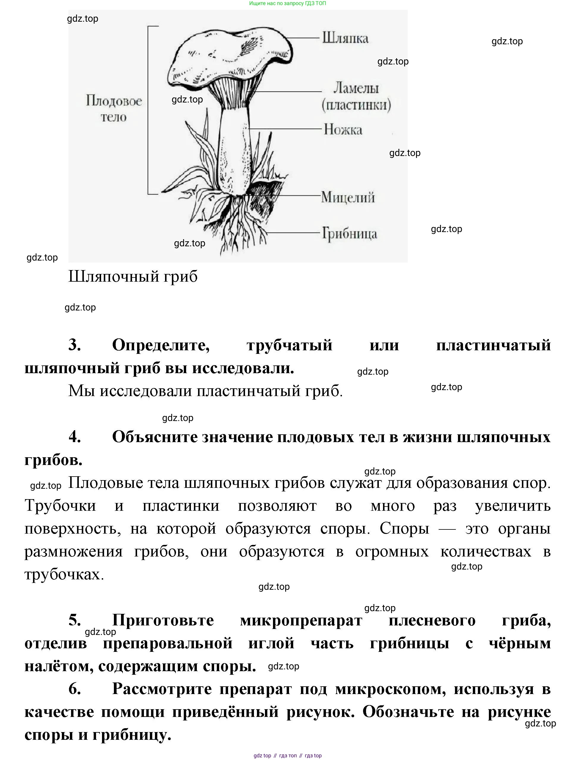 ГДЗ Биология, 9 класс рабочая тетрадь, автор: Сухова Тамара Сергеевна, издательство Просвещение, Москва, 2021, Часть 2, страница 52, номер 1, Решение (продолжение 2)