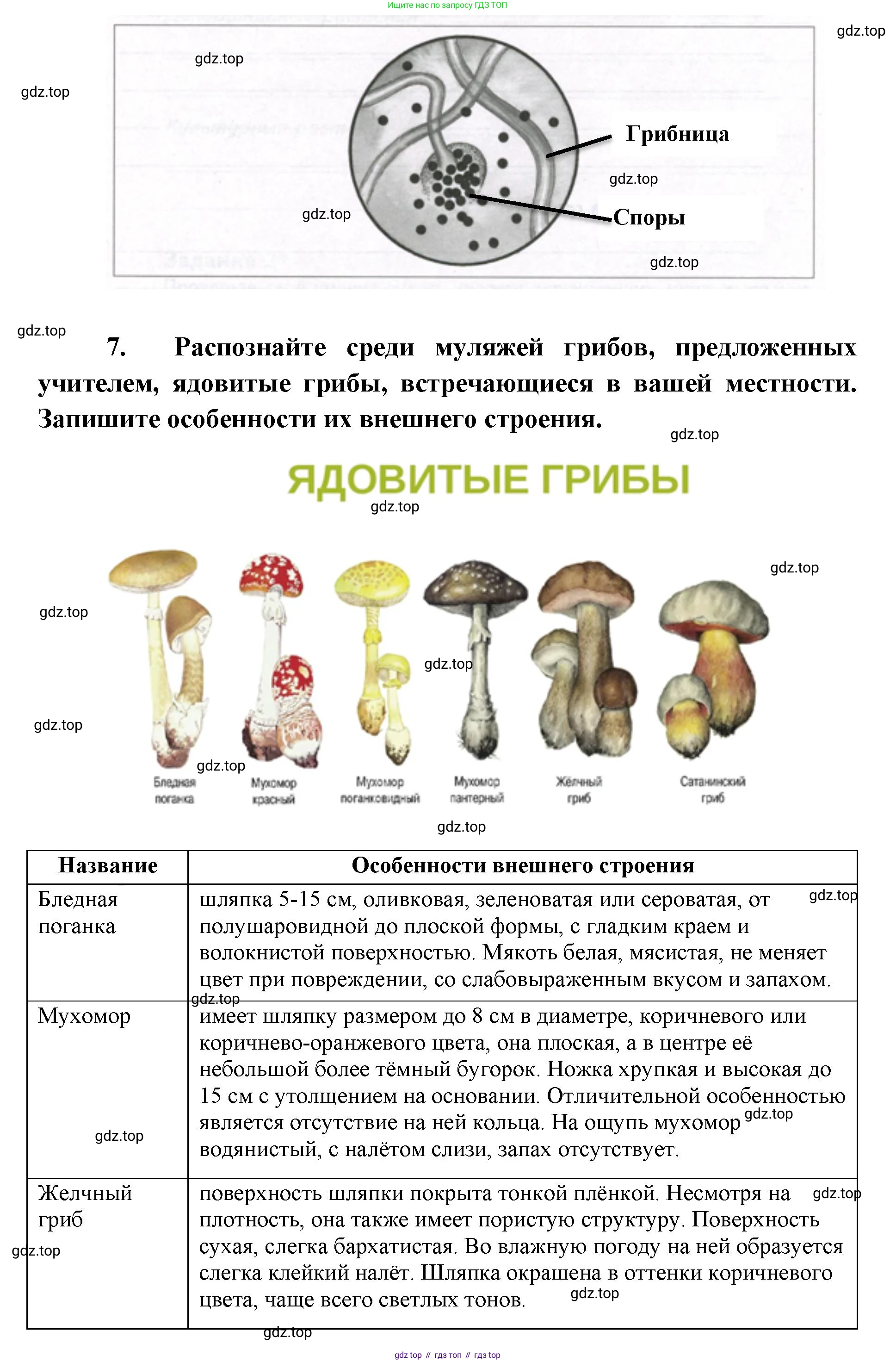 ГДЗ Биология, 9 класс рабочая тетрадь, автор: Сухова Тамара Сергеевна, издательство Просвещение, Москва, 2021, Часть 2, страница 52, номер 1, Решение (продолжение 3)