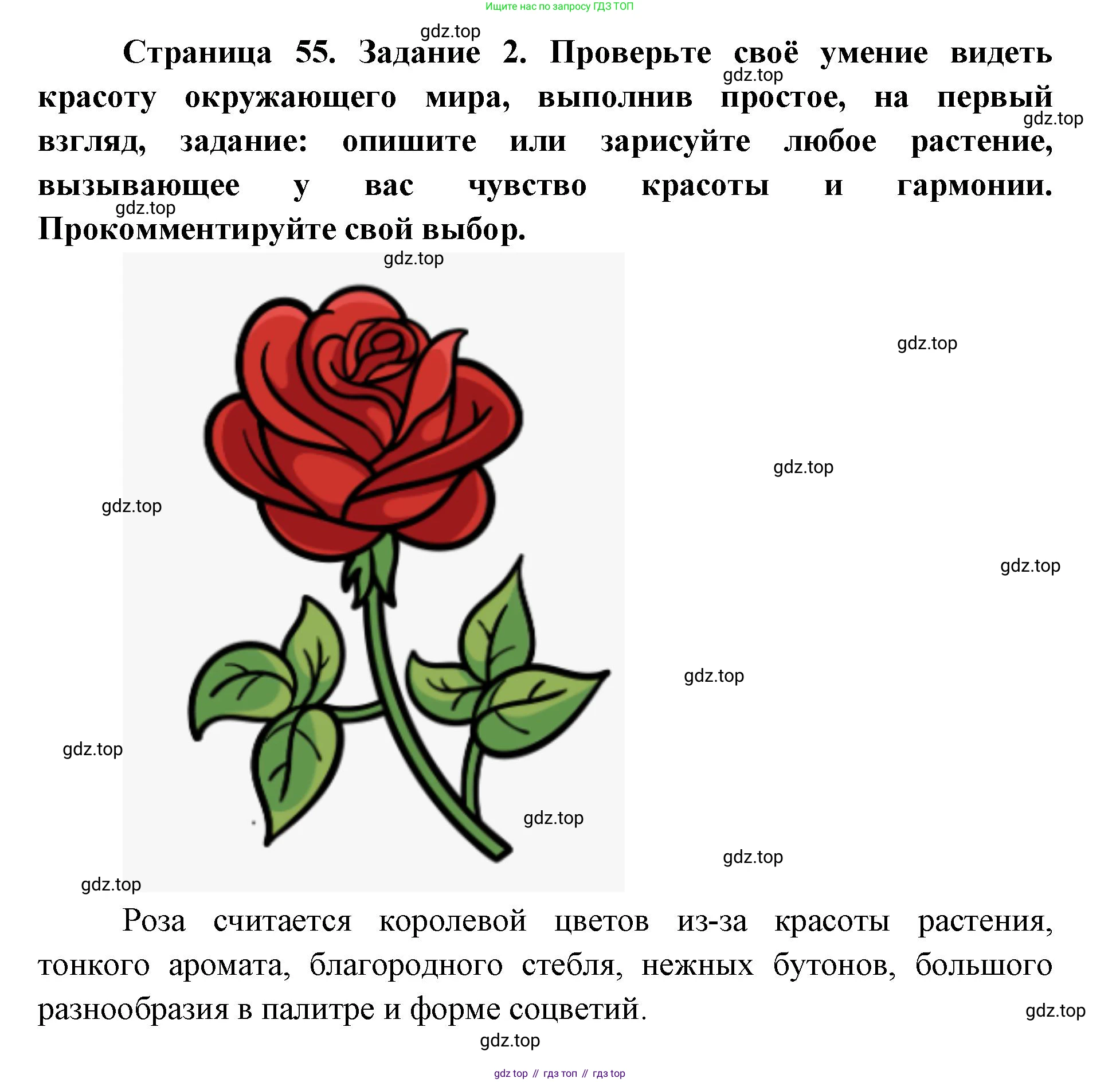 ГДЗ Биология, 9 класс рабочая тетрадь, автор: Сухова Тамара Сергеевна, издательство Просвещение, Москва, 2021, Часть 2, страница 55, номер 2, Решение