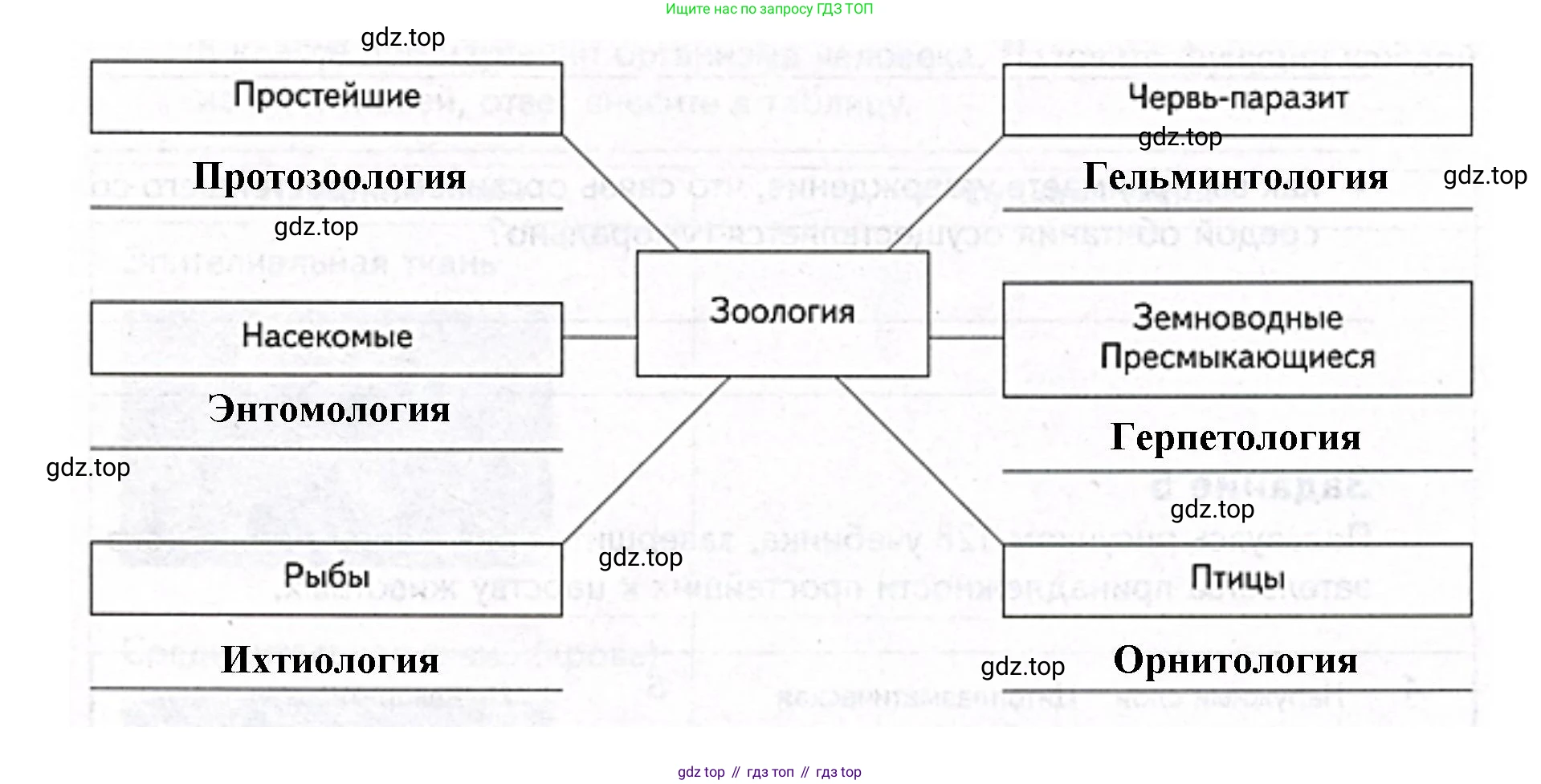 ГДЗ Биология, 9 класс рабочая тетрадь, автор: Сухова Тамара Сергеевна, издательство Просвещение, Москва, 2021, Часть 2, страница 63, номер 3, Решение (продолжение 2)