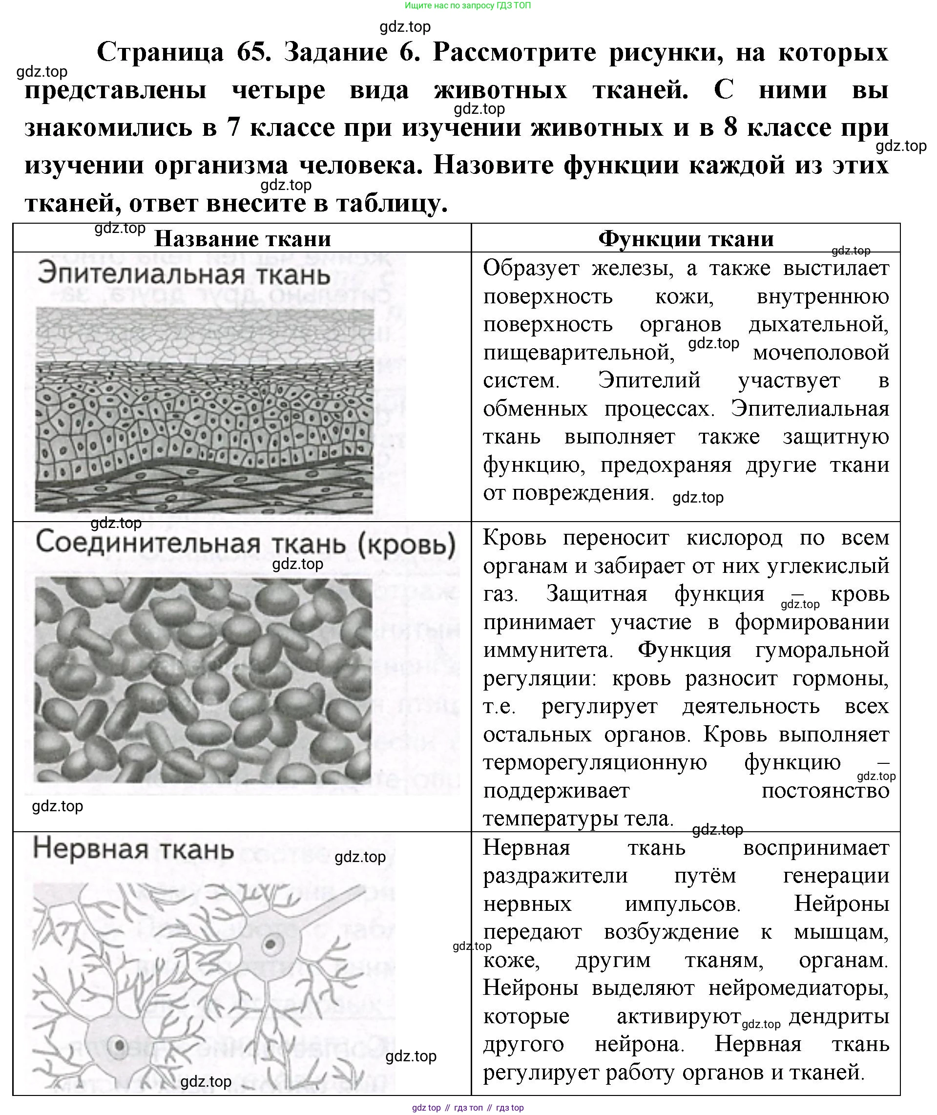 ГДЗ Биология, 9 класс рабочая тетрадь, автор: Сухова Тамара Сергеевна, издательство Просвещение, Москва, 2021, Часть 2, страница 65, номер 6, Решение