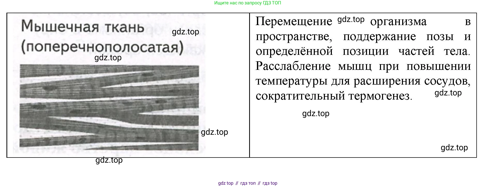 ГДЗ Биология, 9 класс рабочая тетрадь, автор: Сухова Тамара Сергеевна, издательство Просвещение, Москва, 2021, Часть 2, страница 65, номер 6, Решение (продолжение 2)