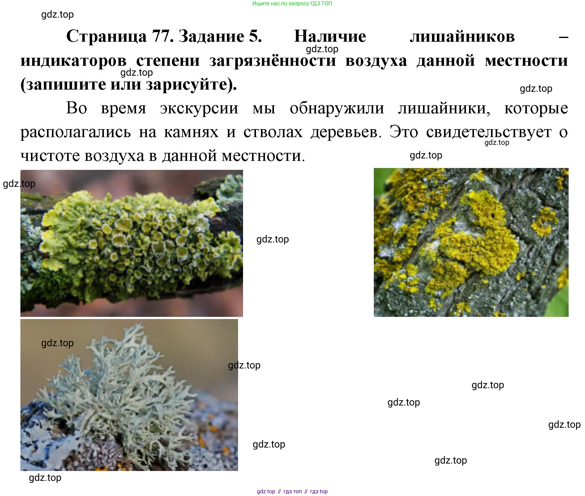 ГДЗ Биология, 9 класс рабочая тетрадь, автор: Сухова Тамара Сергеевна, издательство Просвещение, Москва, 2021, Часть 2, страница 77, номер 5, Решение