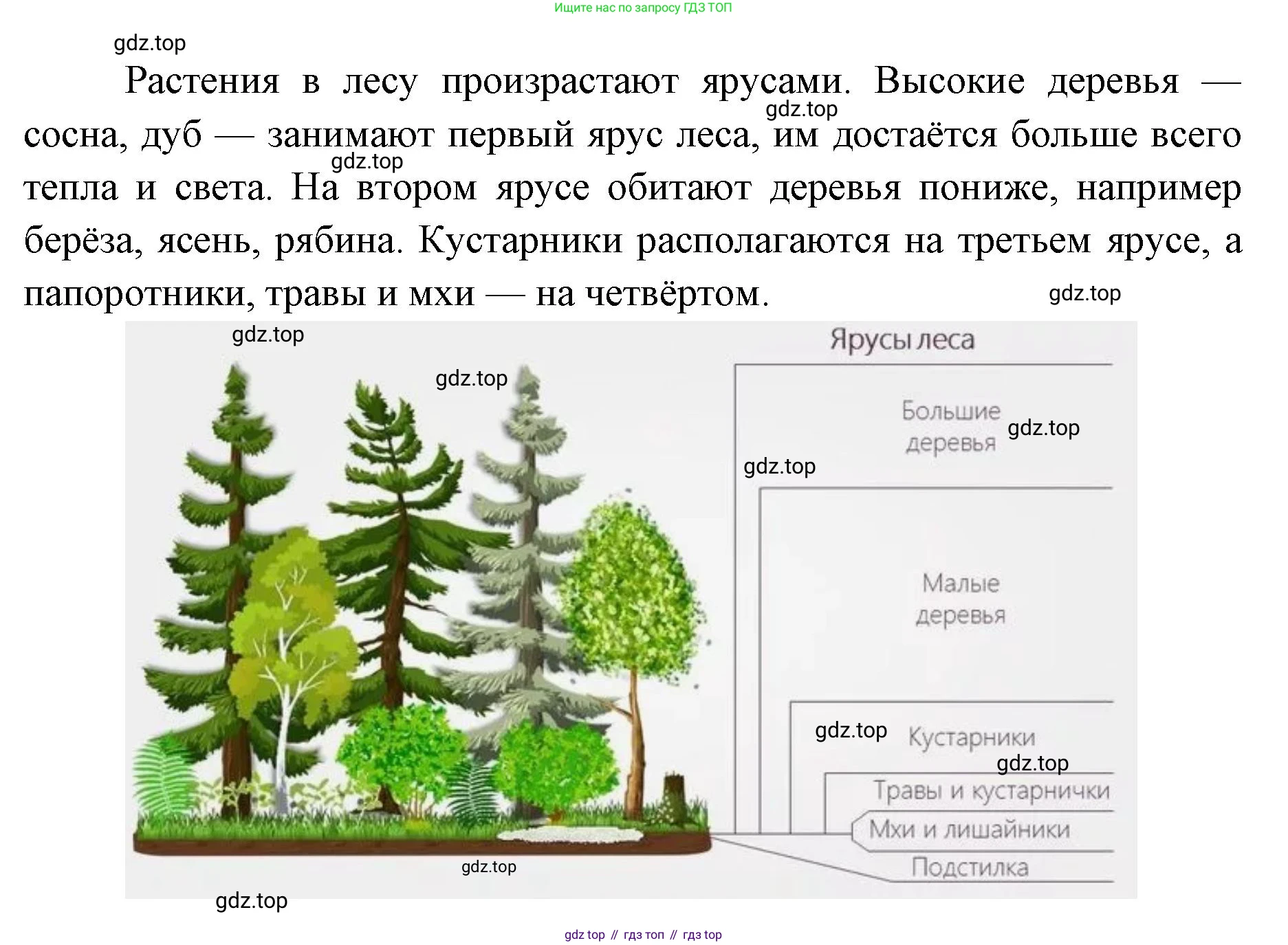 ГДЗ Биология, 9 класс рабочая тетрадь, автор: Сухова Тамара Сергеевна, издательство Просвещение, Москва, 2021, Часть 2, страница 79, номер 2, Решение (продолжение 2)