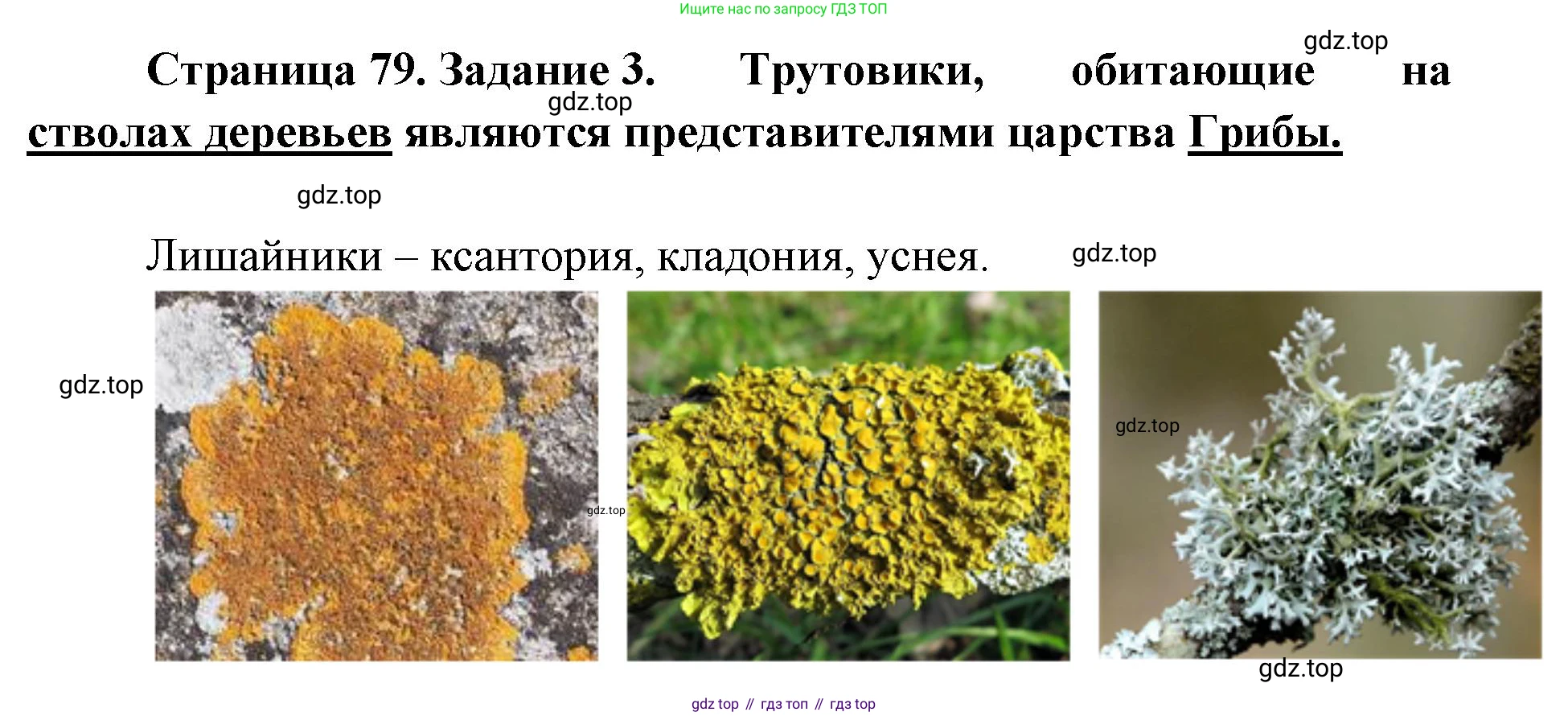 ГДЗ Биология, 9 класс рабочая тетрадь, автор: Сухова Тамара Сергеевна, издательство Просвещение, Москва, 2021, Часть 2, страница 79, номер 3, Решение