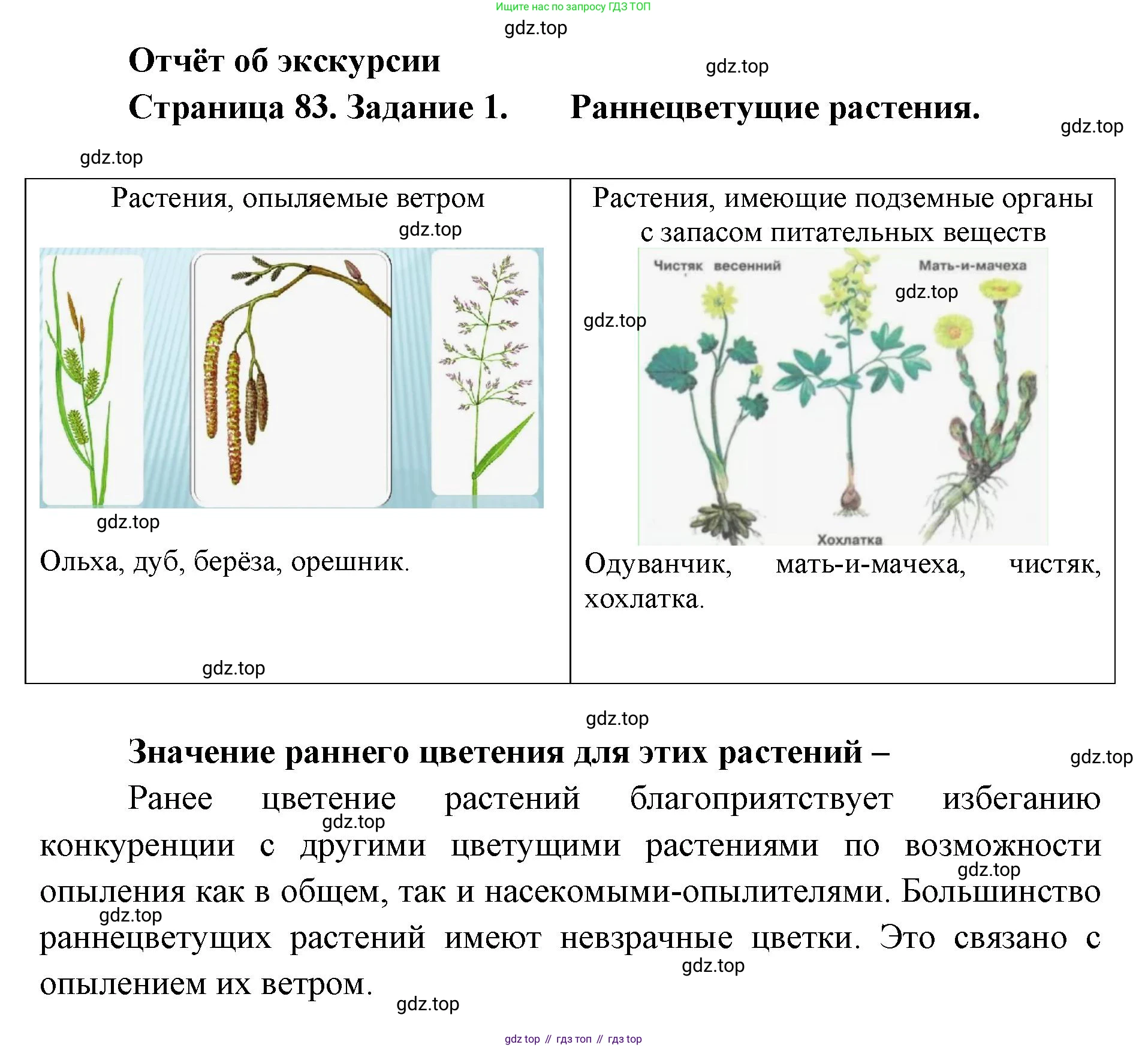 ГДЗ Биология, 9 класс рабочая тетрадь, автор: Сухова Тамара Сергеевна, издательство Просвещение, Москва, 2021, Часть 2, страница 83, номер 1, Решение