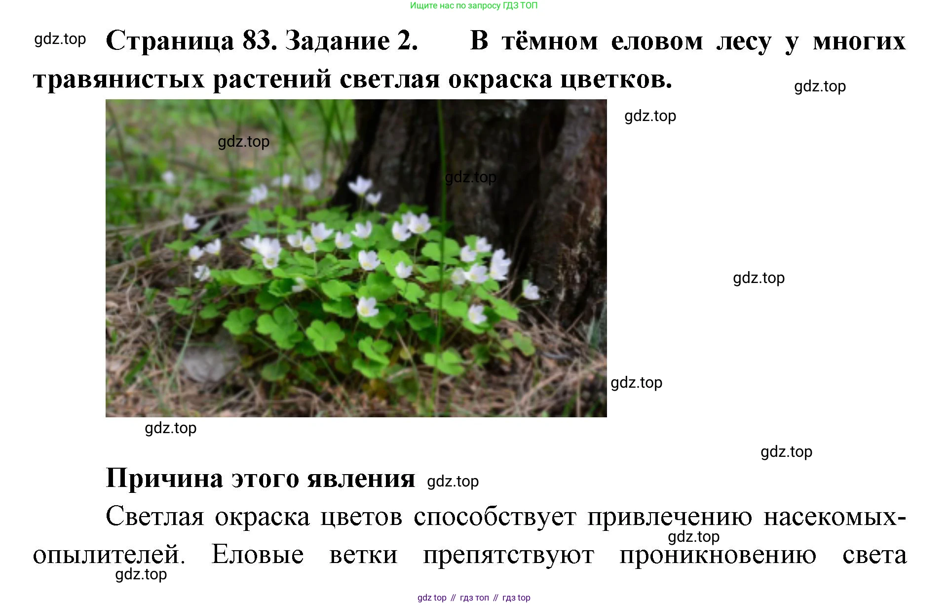 ГДЗ Биология, 9 класс рабочая тетрадь, автор: Сухова Тамара Сергеевна, издательство Просвещение, Москва, 2021, Часть 2, страница 83, номер 2, Решение